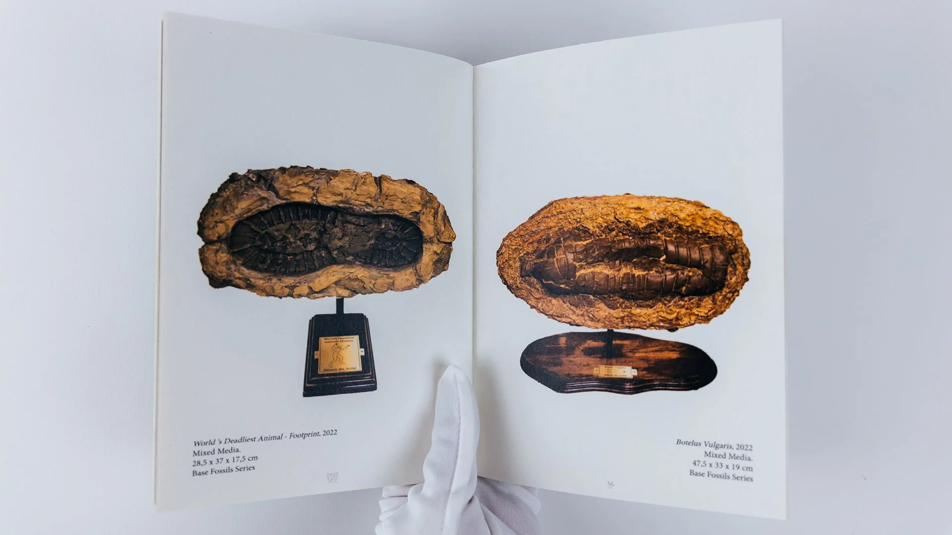 Editoria Design branding, logo, symbol, icon, photography, 3d mockups, brand appplications, color, typography, design, art direction, copywritting, illustration, video, advertising, New York