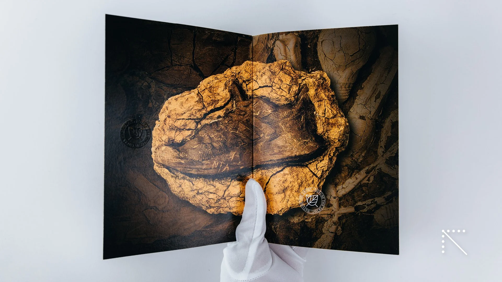 NATURE THE ARTIST | Editorial Design