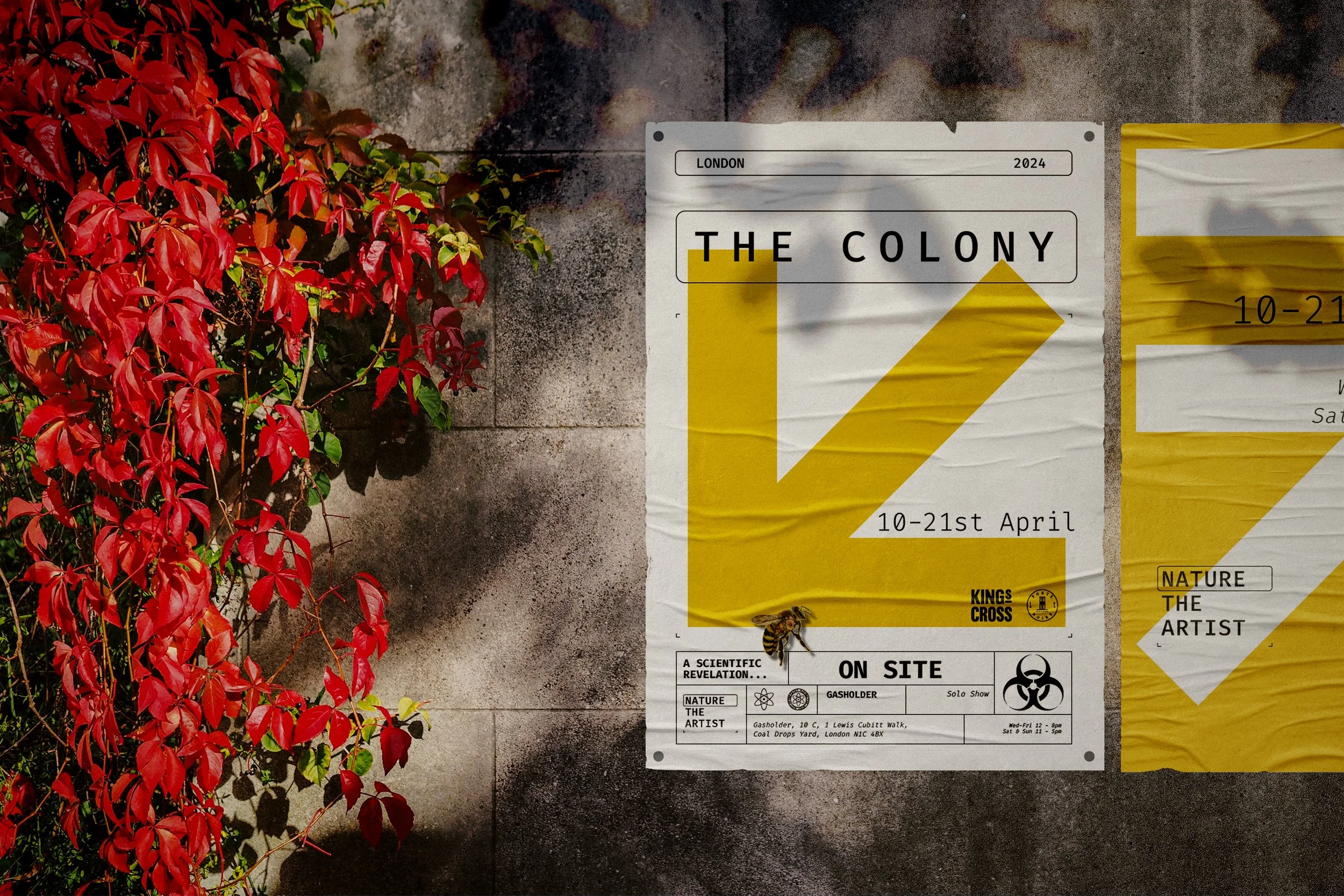 THE COLONY | Brand Communication