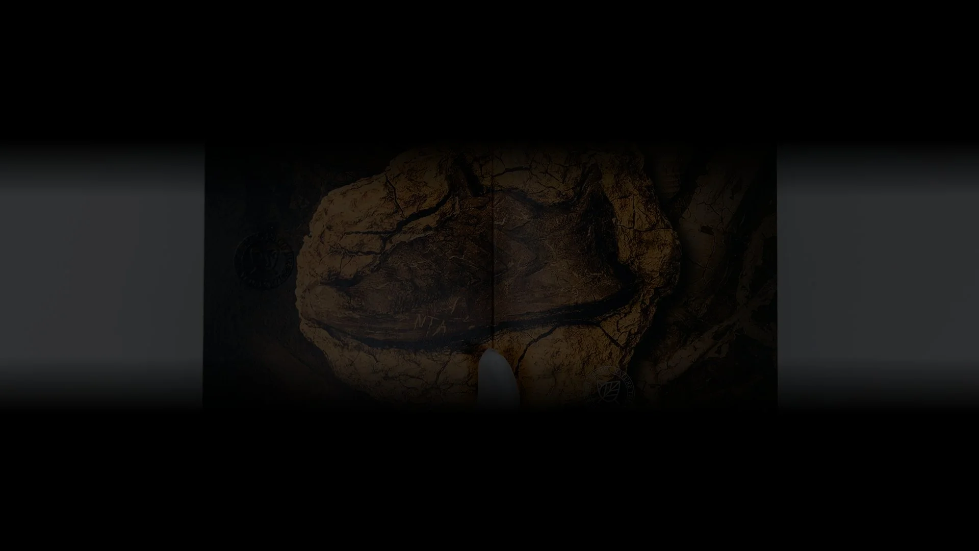 Dimly lit cracked rock or earth with indistinct markings