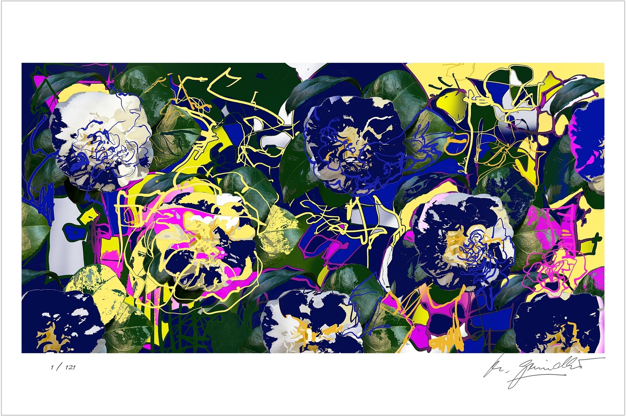 ‘Every Thing’, Giclee print, limited edition, Print size 56x28cm, Paper size 60x40cm, signed and numbered.