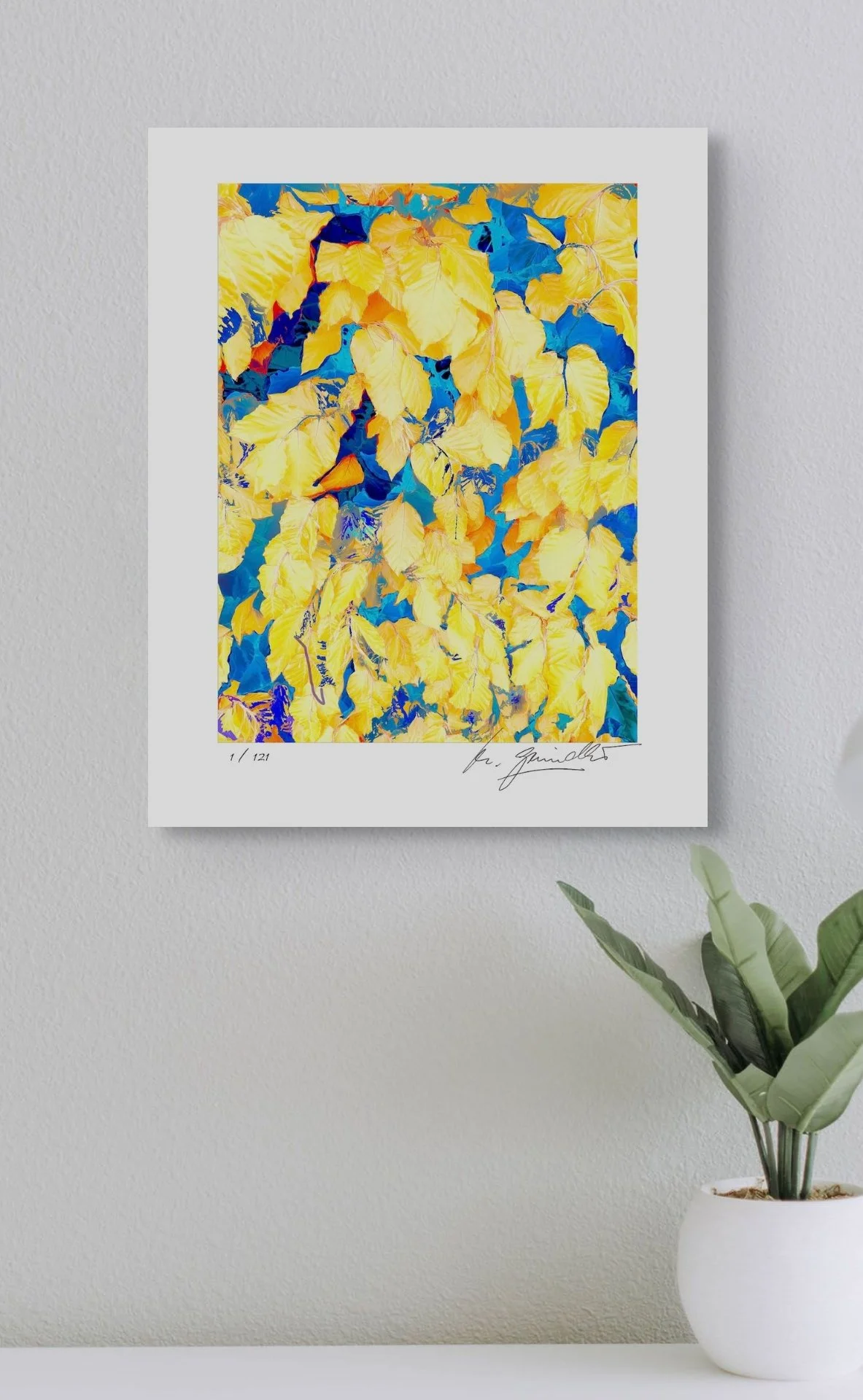 ‘Golden Beech’, Giclee print, limited edition, Print size 30x40cm, Paper size 40x50cm, signed and numbered.