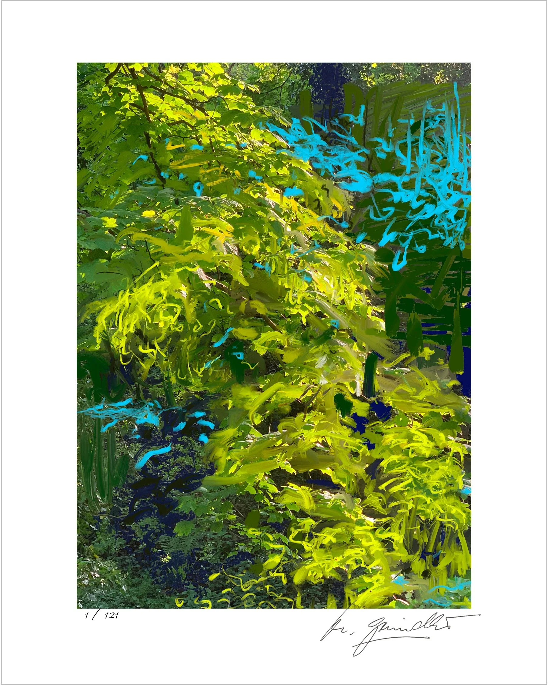 ‘Flow’, Giclee print, limited edition, Print size 30x41cm, Paper size 40x50cm, signed and numbered.