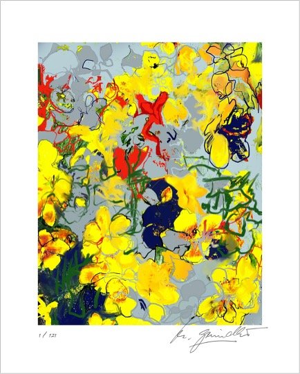 ‘Hidden Colour’, Giclee print, limited edition, Print size 30x38cm, Paper size 40x50cm, signed and numbered.