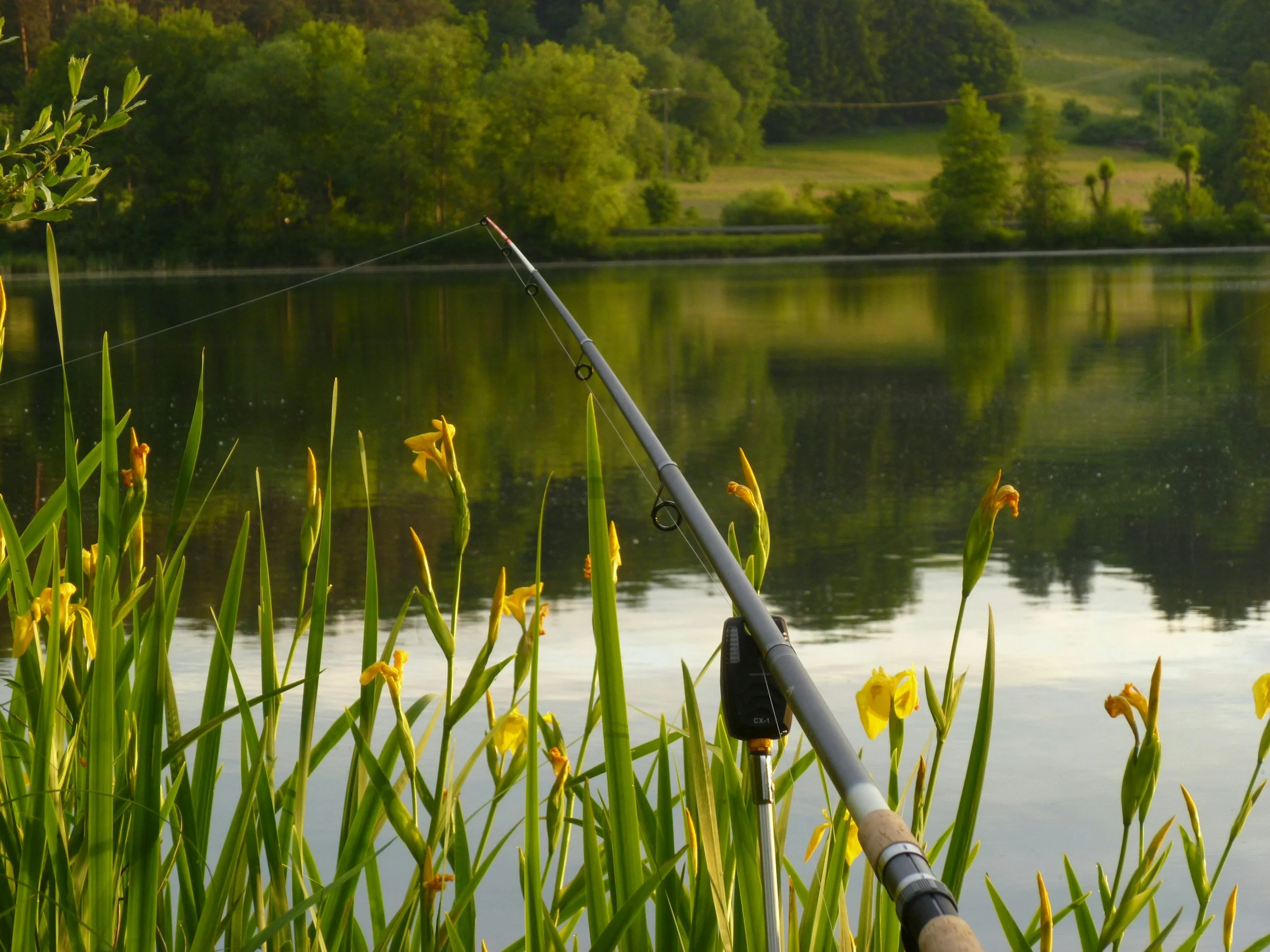 Fishing rod leaning into a lake with yellow flowers and tall grass in the foreground, surrounded by lush green trees and hills in the distance.