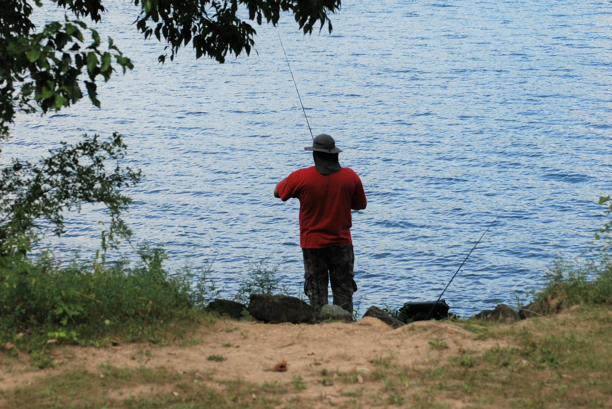 A person fishing by a body of water, standing on a sandy shoreline with rocks, wearing a wide-brimmed hat and a red shirt, framed by overhanging tree branches.