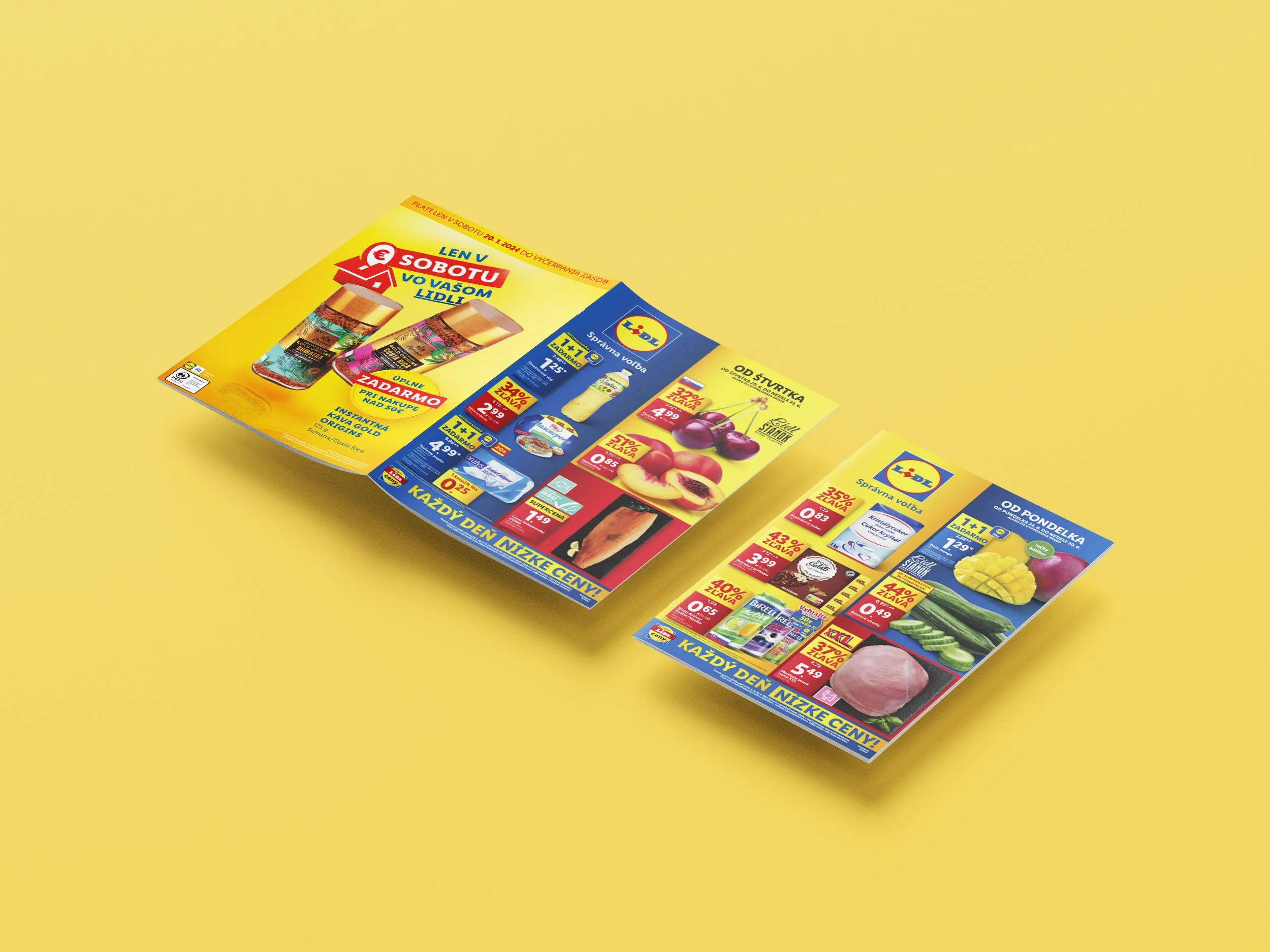 Free_A4_Floating_Brochure_Mockup_7 copy.jpg