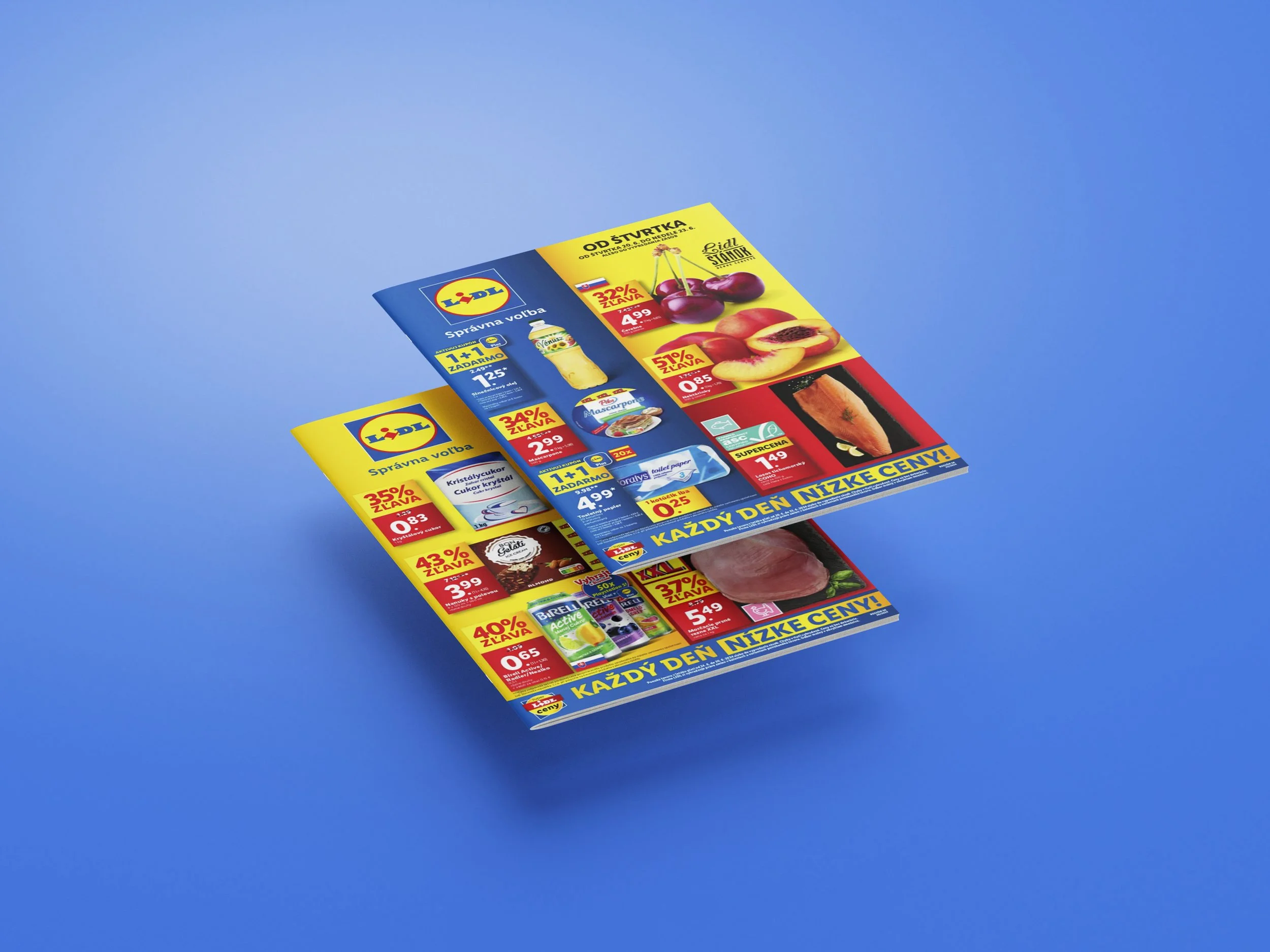 Free_A4_Floating_Brochure_Mockup_1 copy.jpg