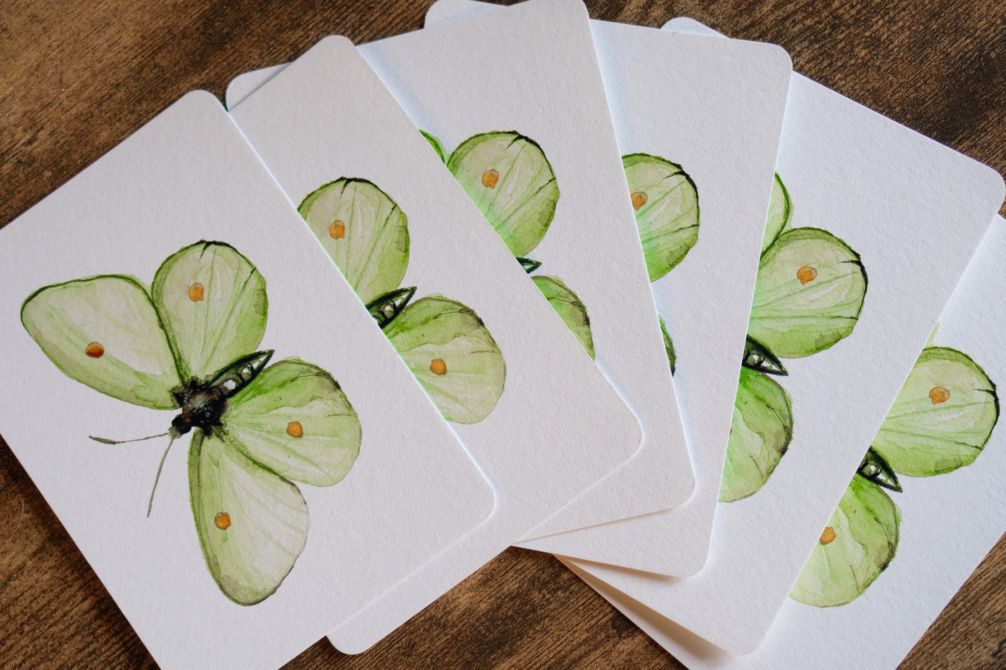 Botanischer Schmetterling – Mini Fine Art Print A6
