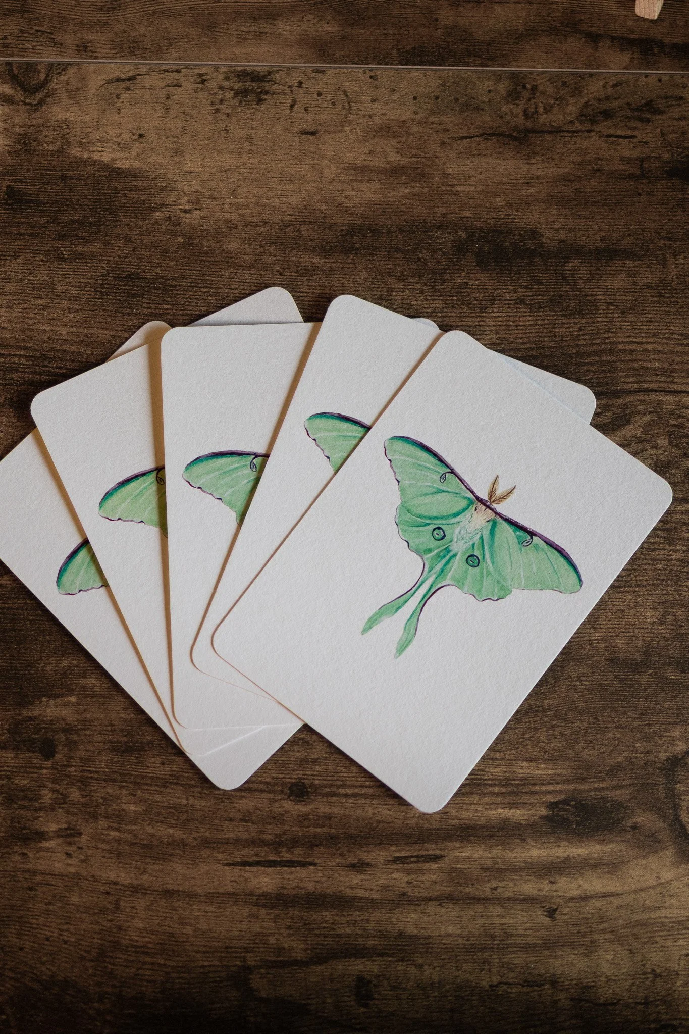 Mondmotte (Actias luna) – Mini Art Print A6 auf Fine Art Papier