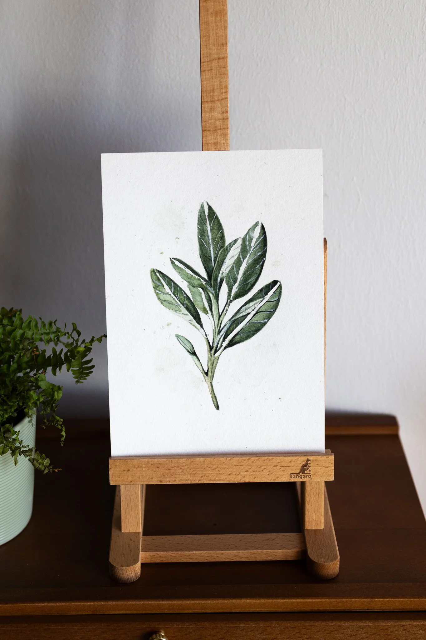 Salbei – Original Aquarell