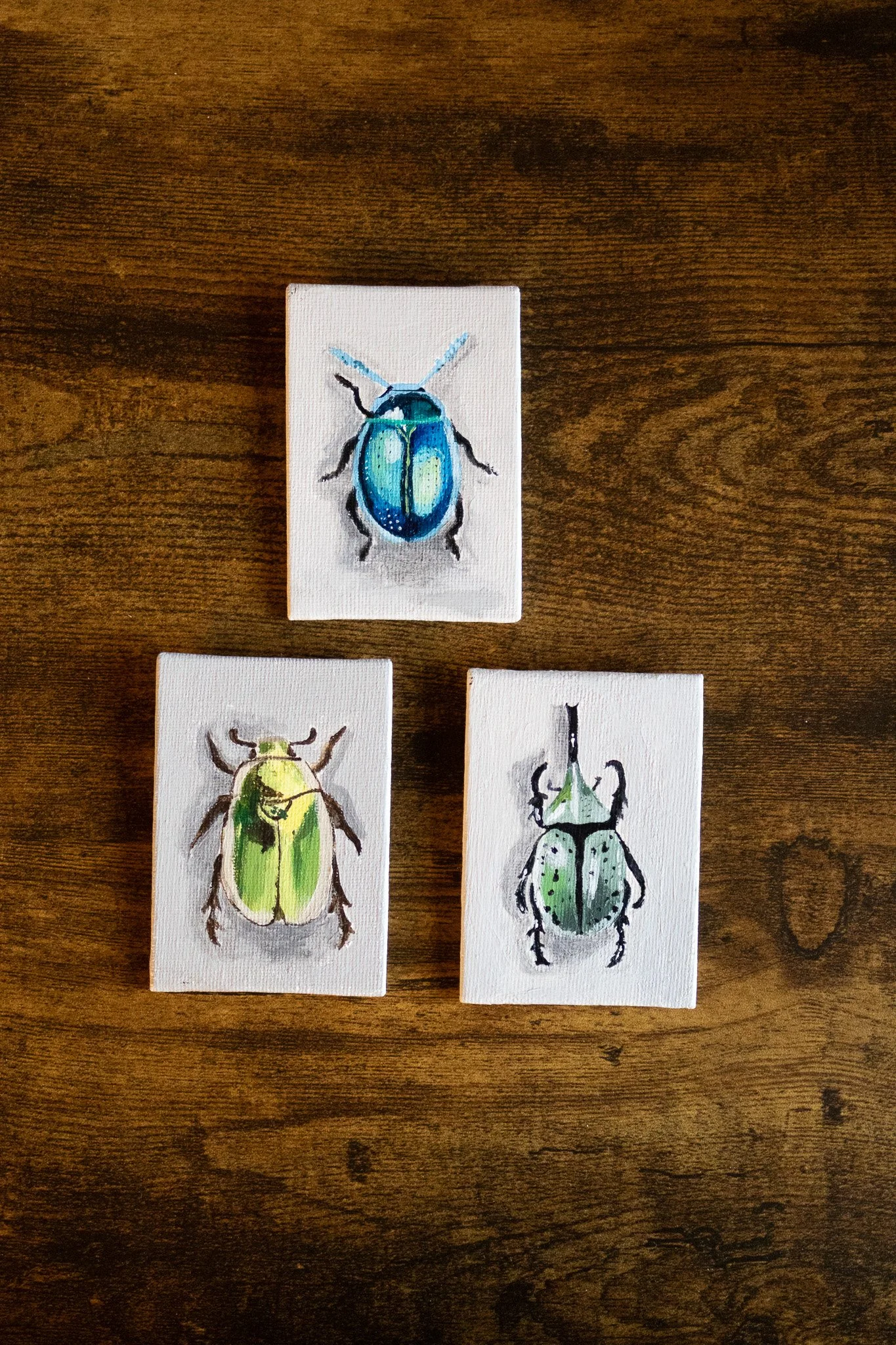 Mini - Käfer