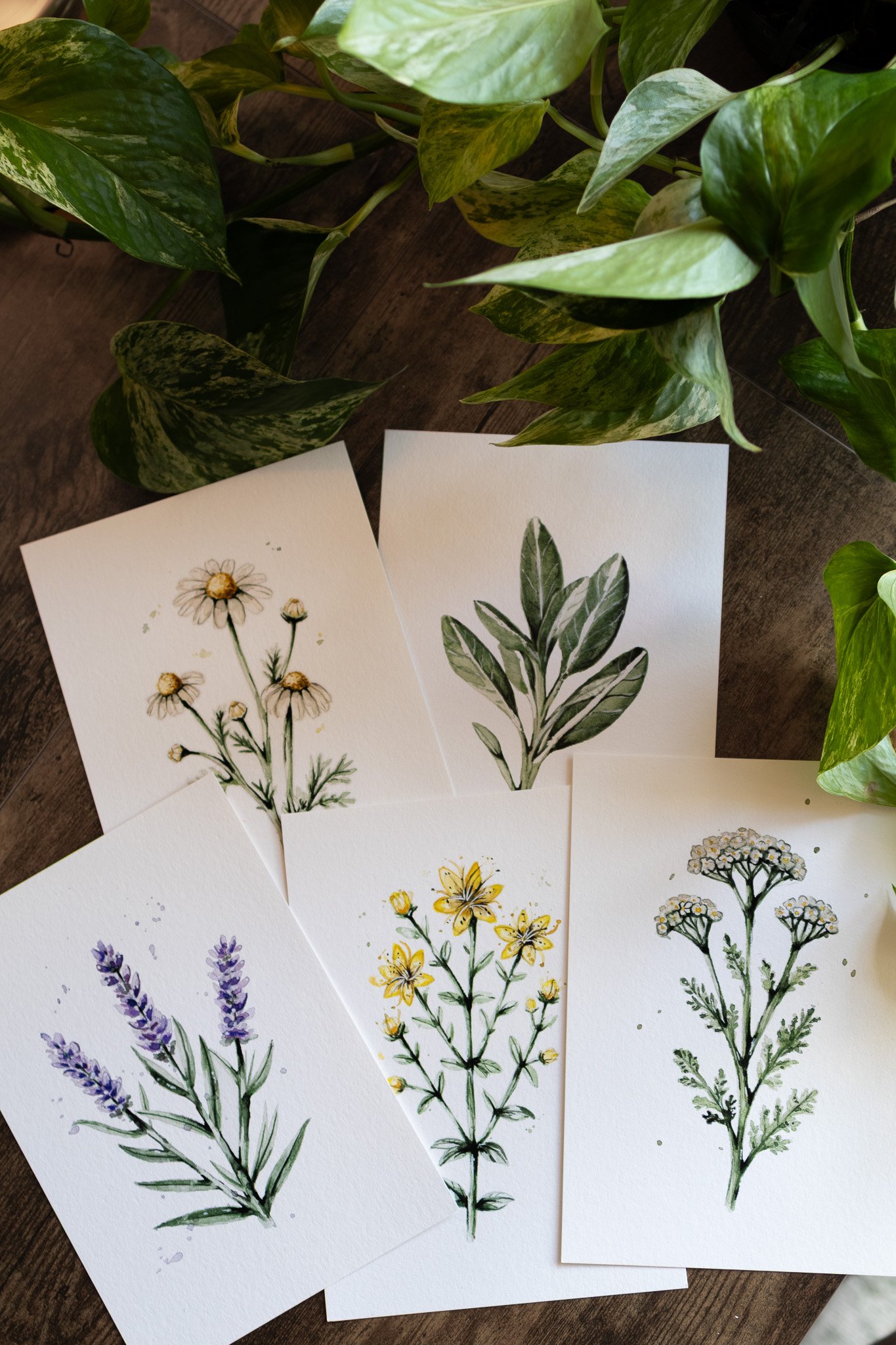 Kräuter Aquarelle – Fine Art Print