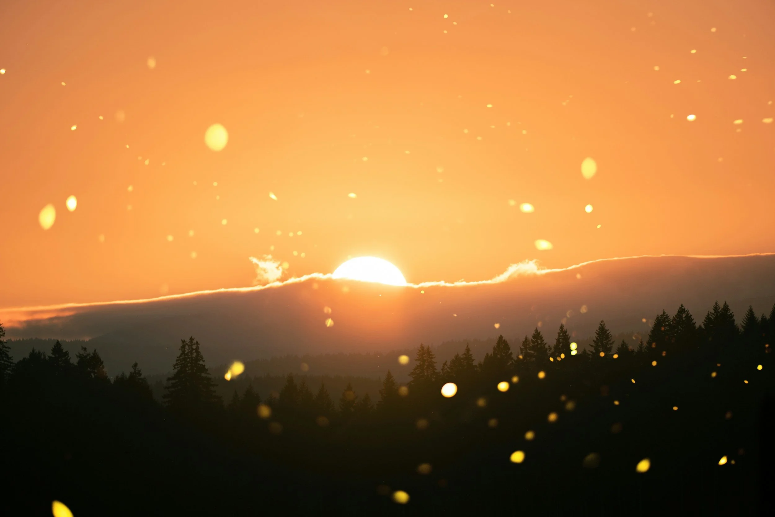 TBT: Daybreak