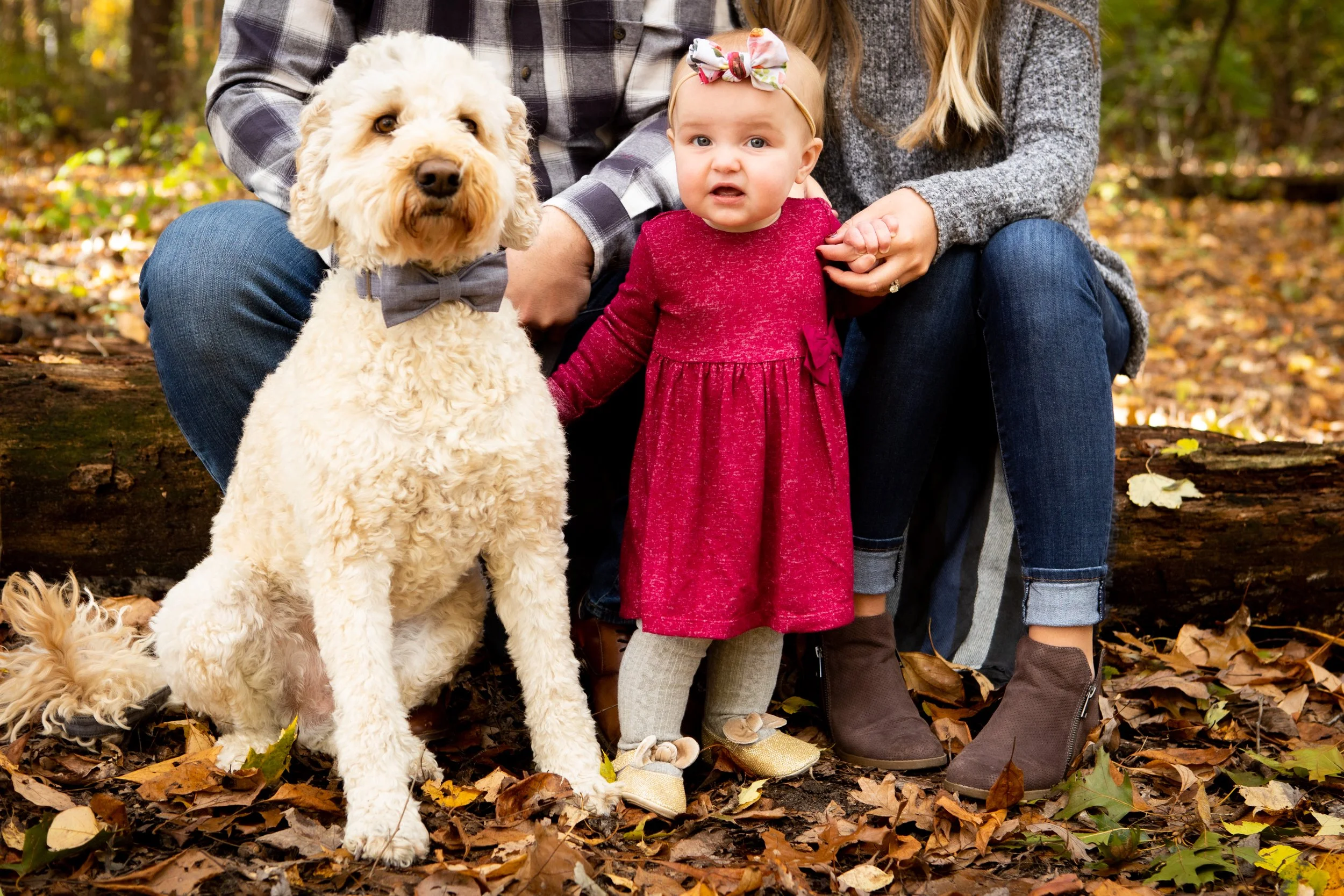 A family with a large cream-colored dog and a young girl in an autumn outdoor setting covered in fallen leaves.