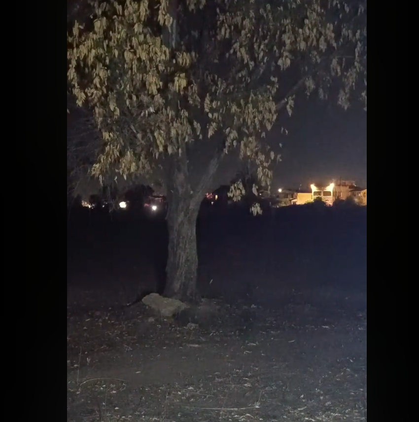 Campo di Streghe: La Tragedia di Ines e l'Asse Roma-Benevento