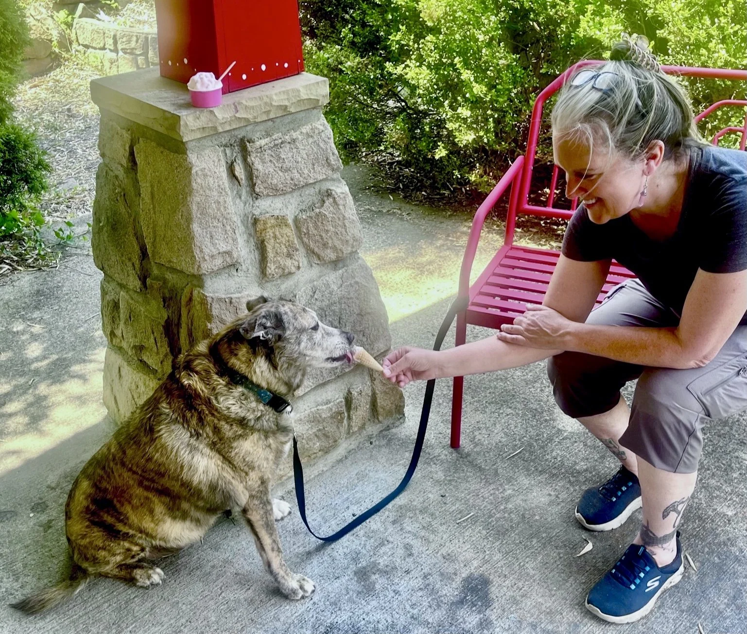 Traci Levine, licensed massage therapist with her dog in South Hills in Charleston WV