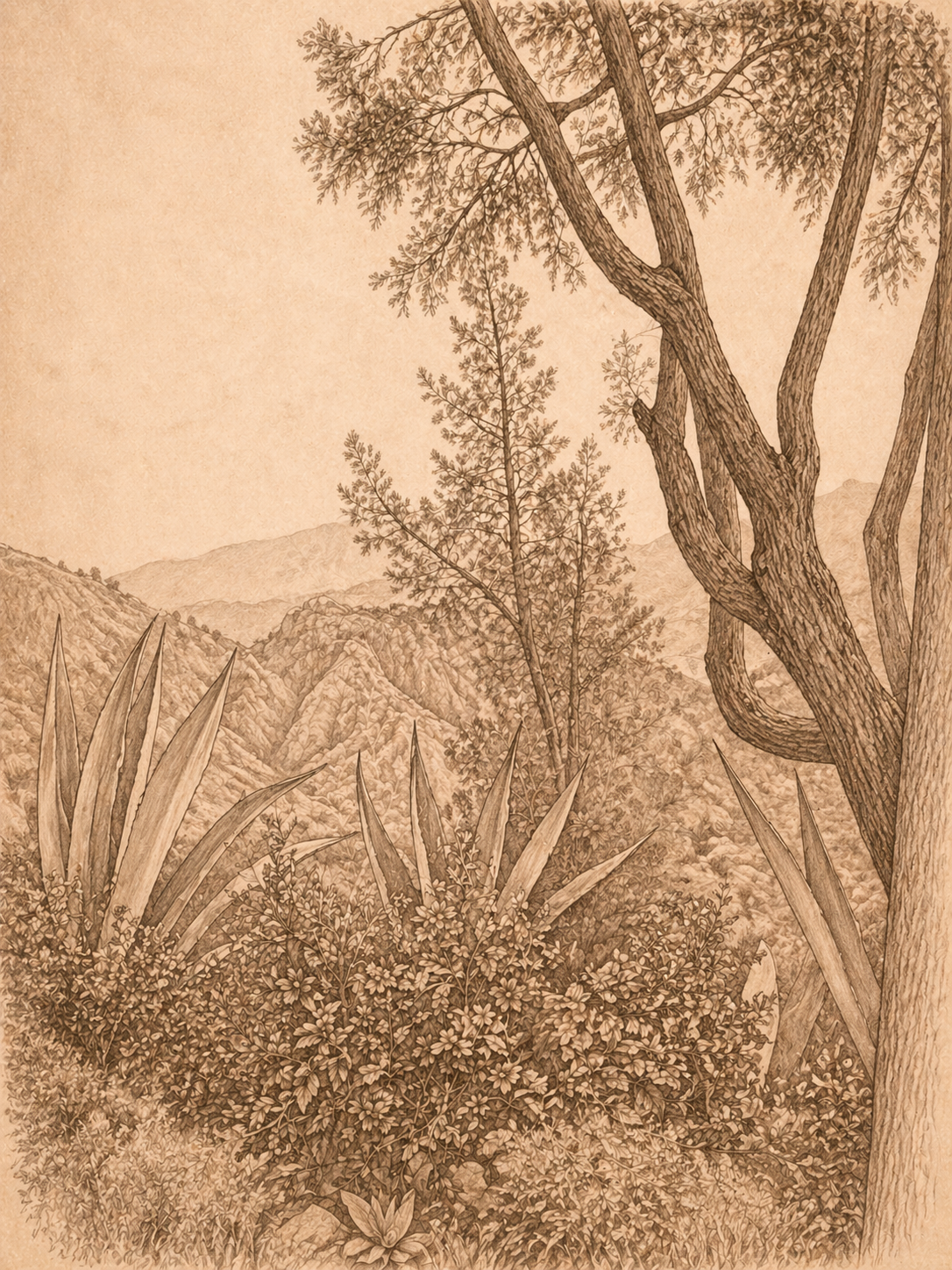 A sepia-toned nature illustration of mountains and trees, symbolising the solid foundation and steps required to build lasting confidence for women.