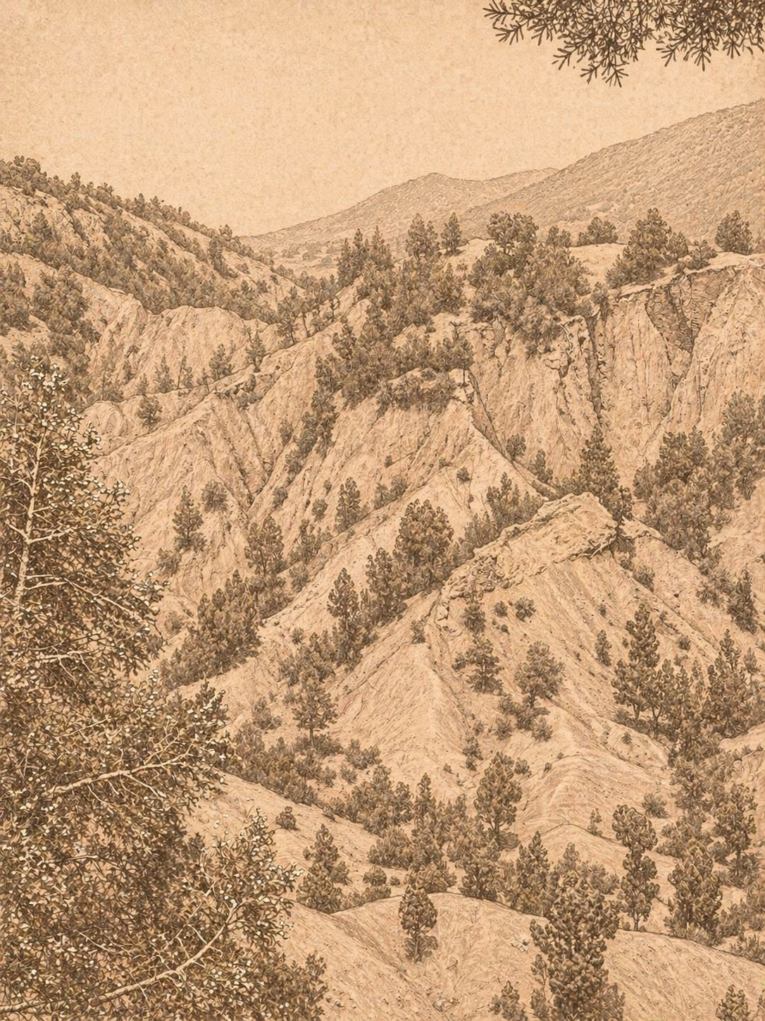 Scenic mountain illustration representing the mental clarity and broad perspective achieved through positive psychology coaching.
