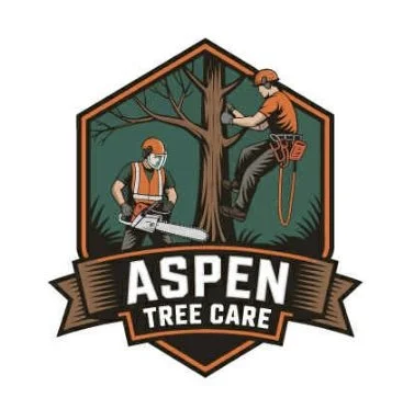 Your Site Title (Copy)