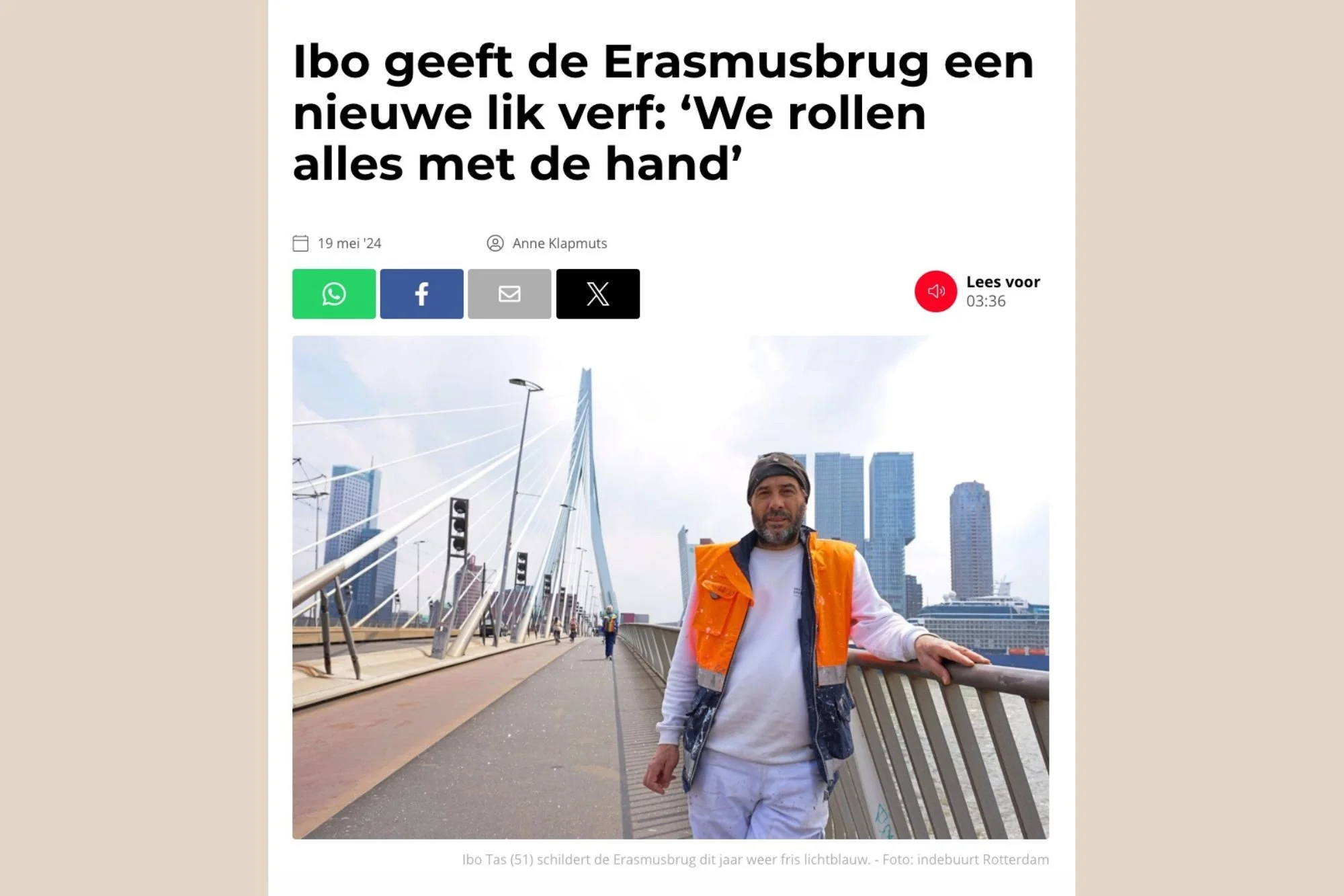 Schilder Erasmusbrug