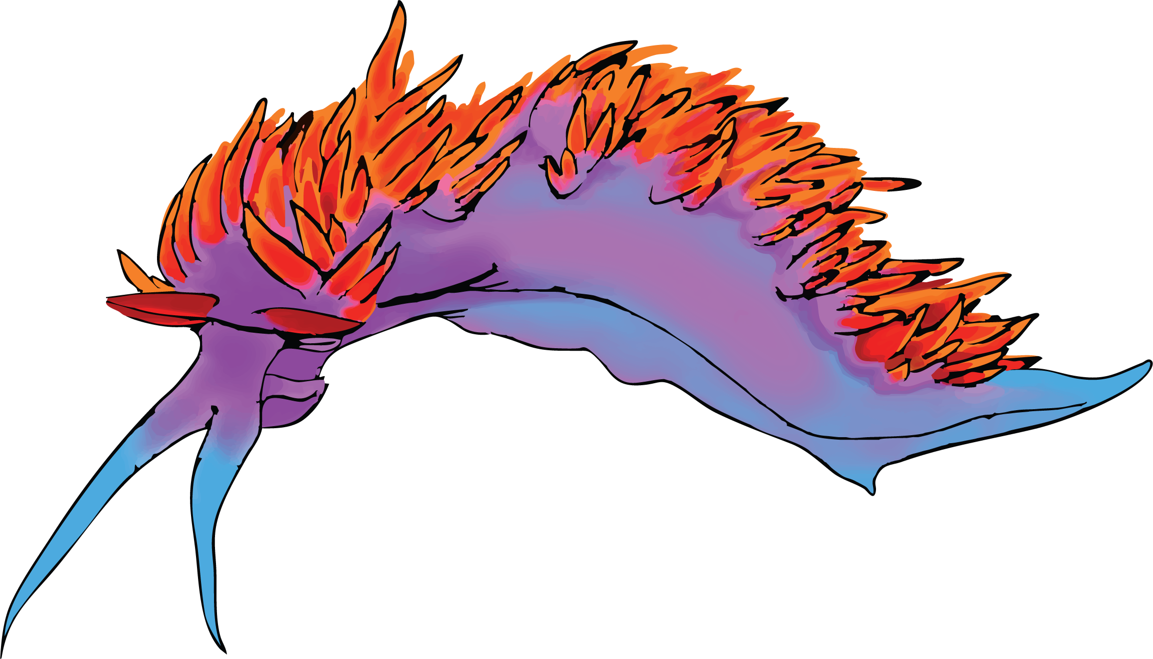 spanish_shawl.png
