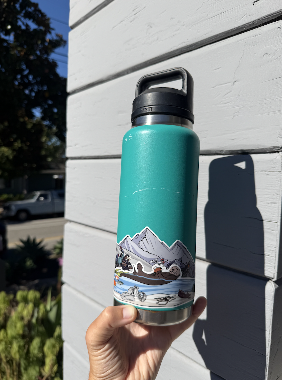 California Intertidal Infinity