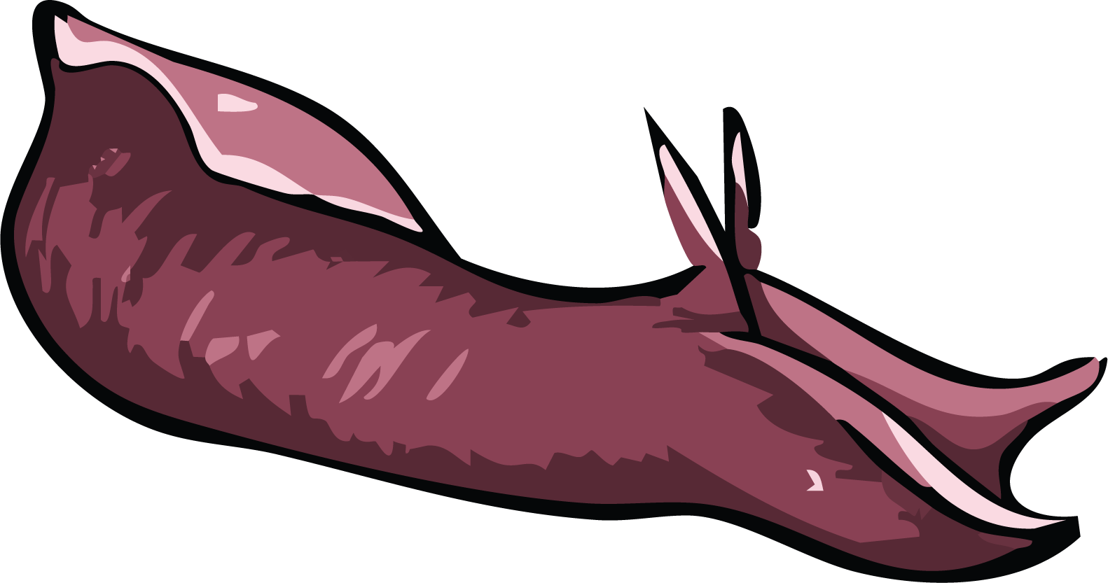 sea_hare.png