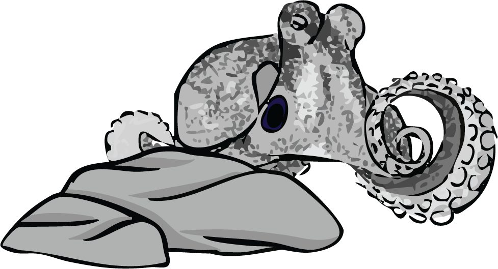 octo.png