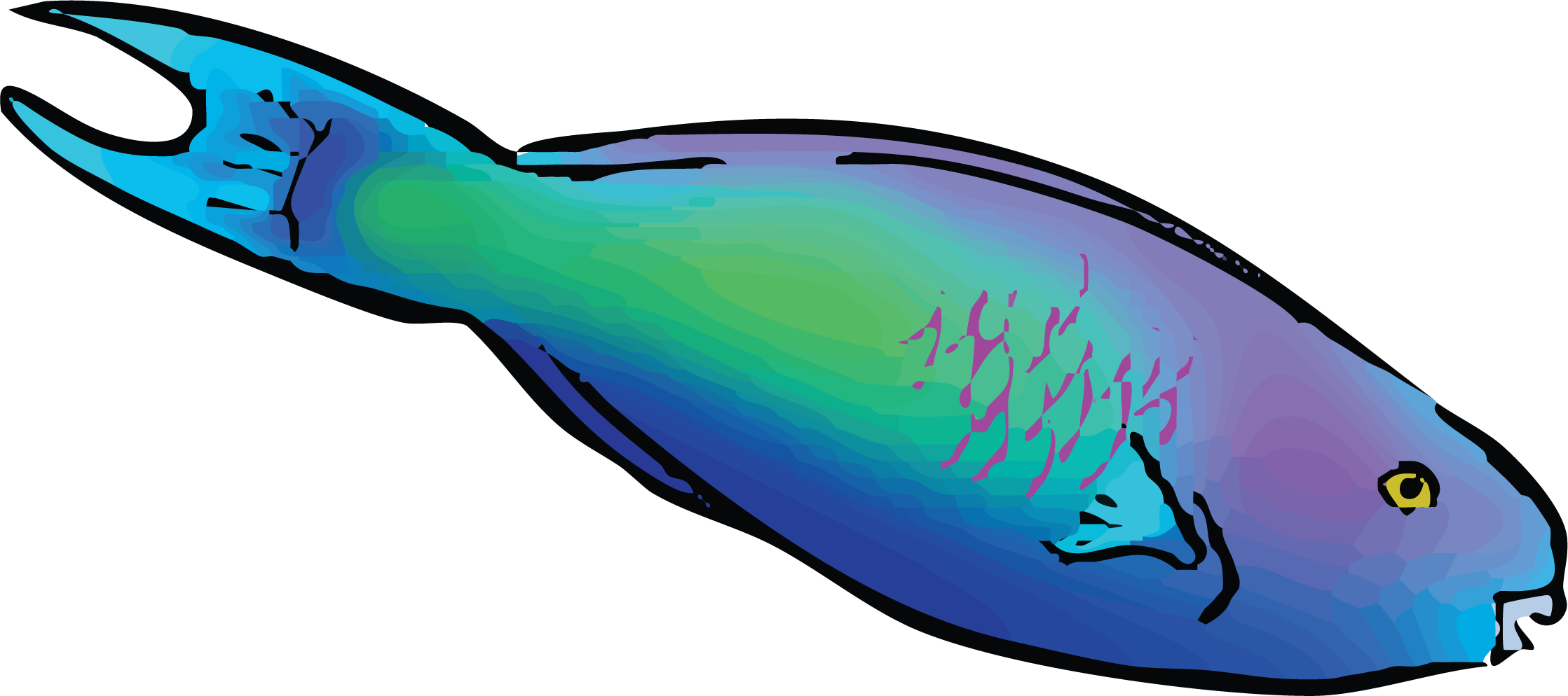 parrotfish.png