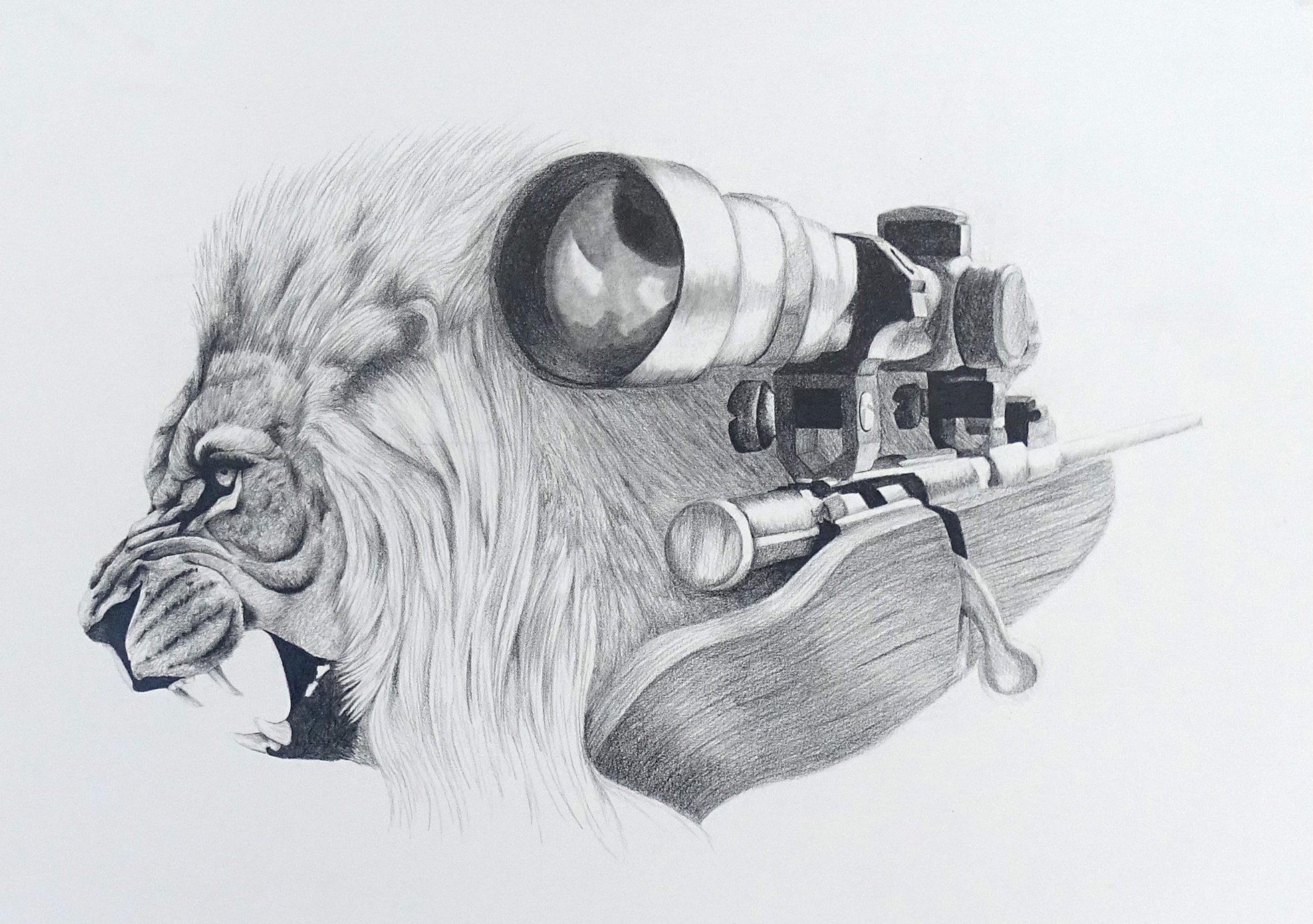 Screen Shot 2023-11-30 at 8.08.12 AM.png