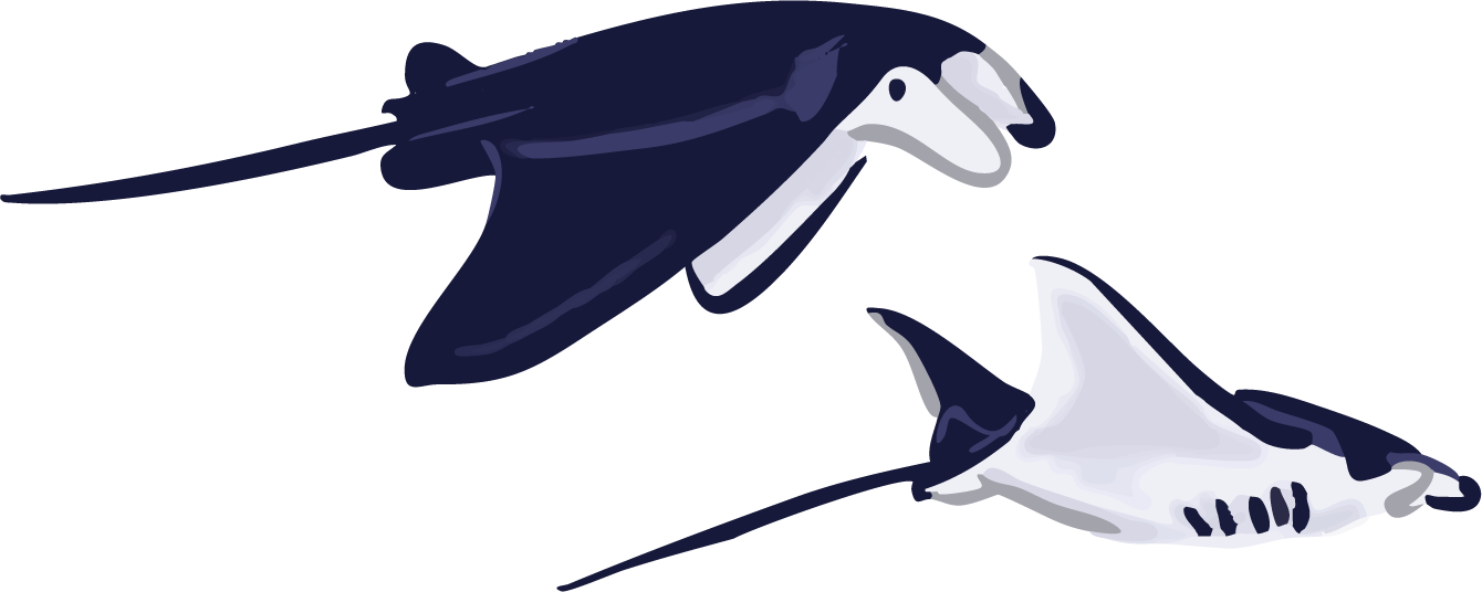mantas.png
