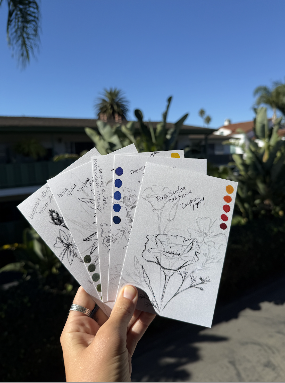 Love Letters to California Flora