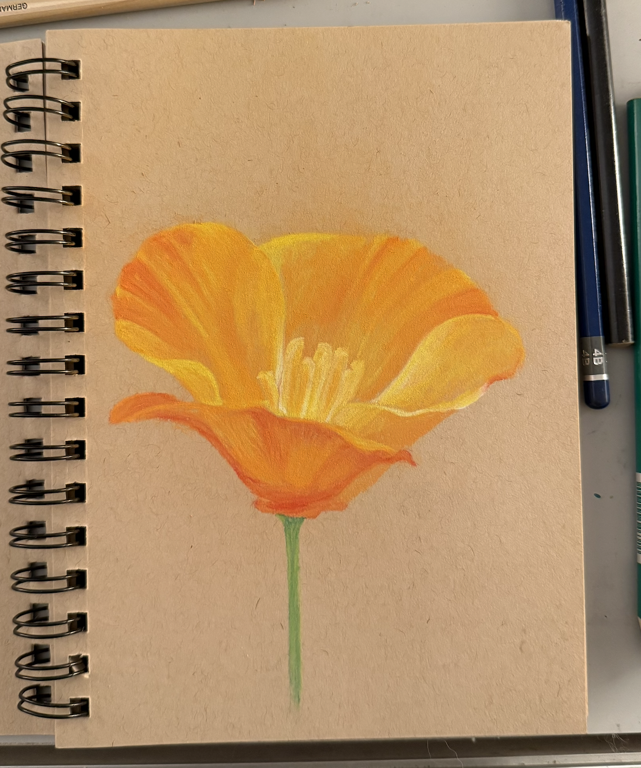 From My Sketchbook