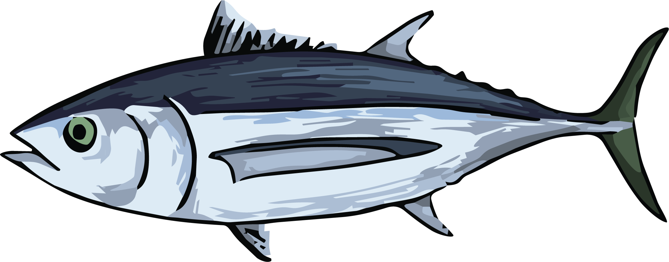 tuna.png