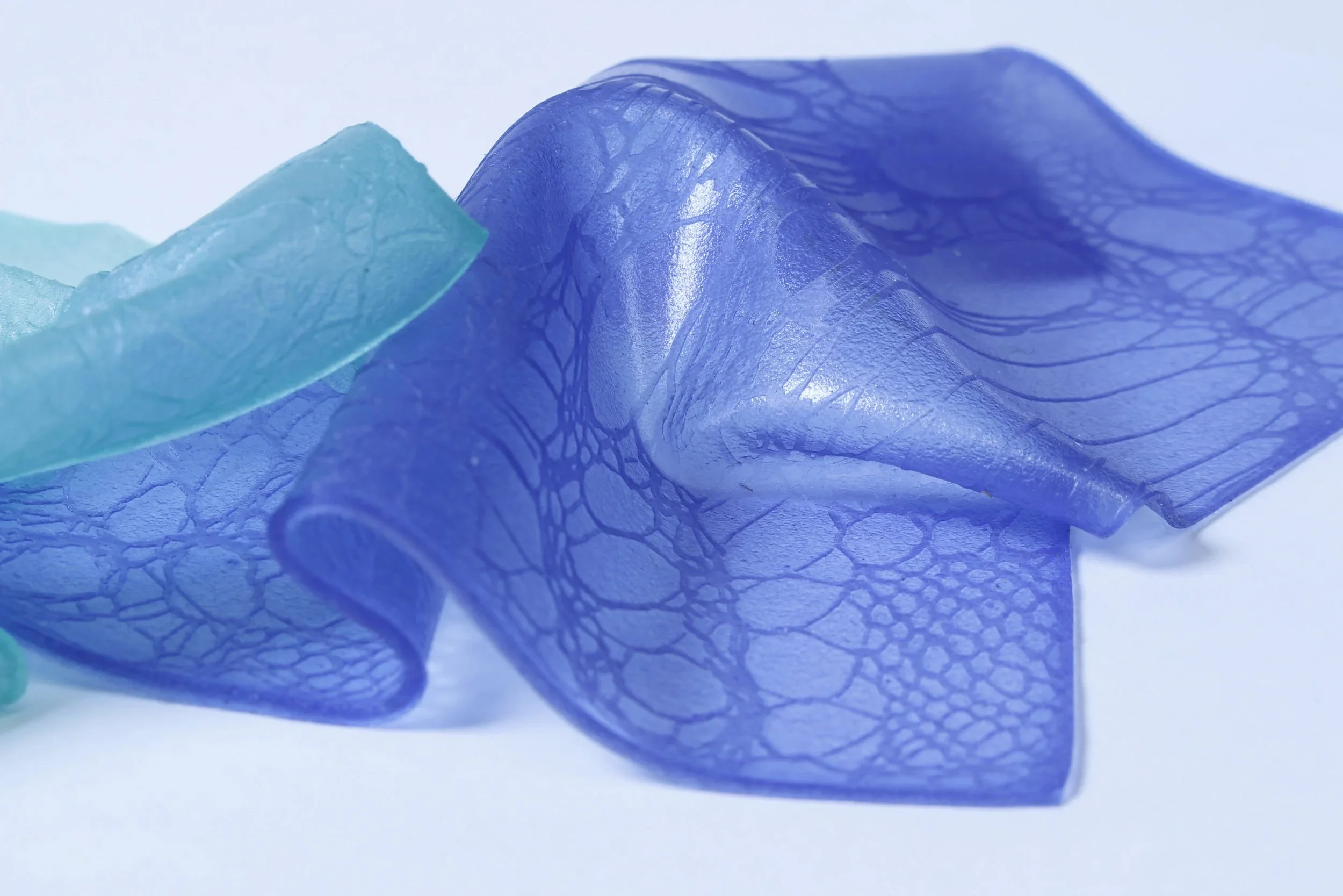 BIOPLASTICS - Future in Fashion and Our Everyday Ecosystems