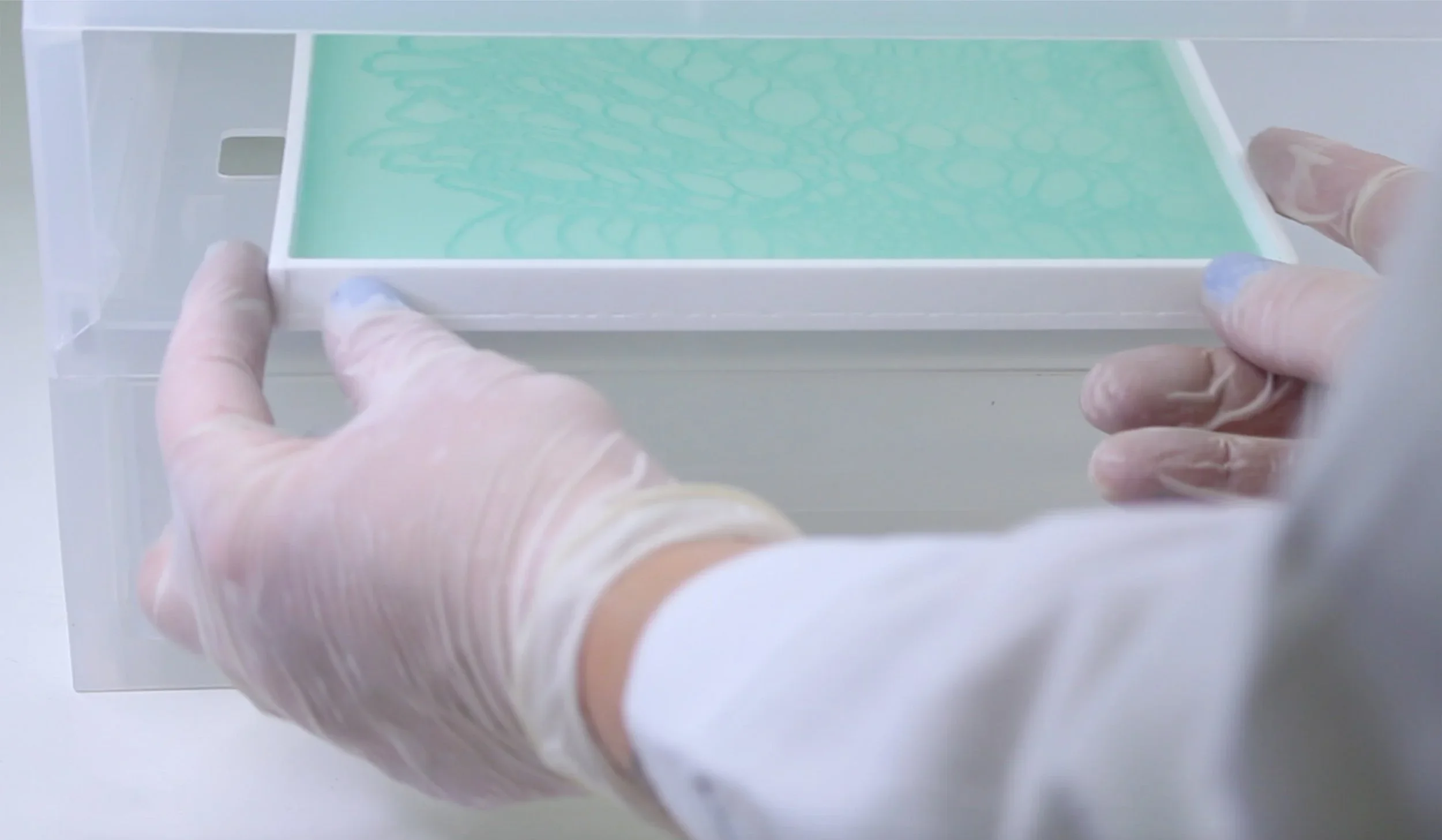 MAKING PROCESS - Bioplastic