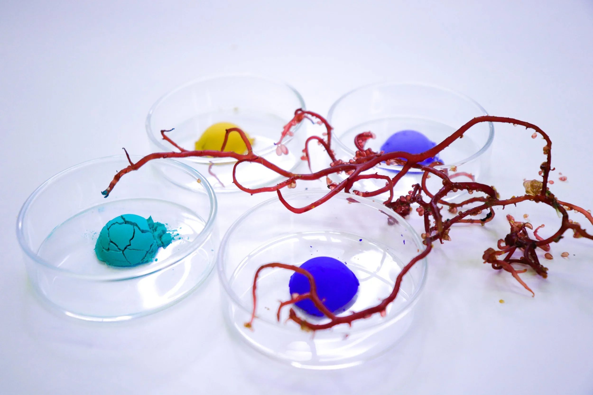 Bioplastics and COLOUR