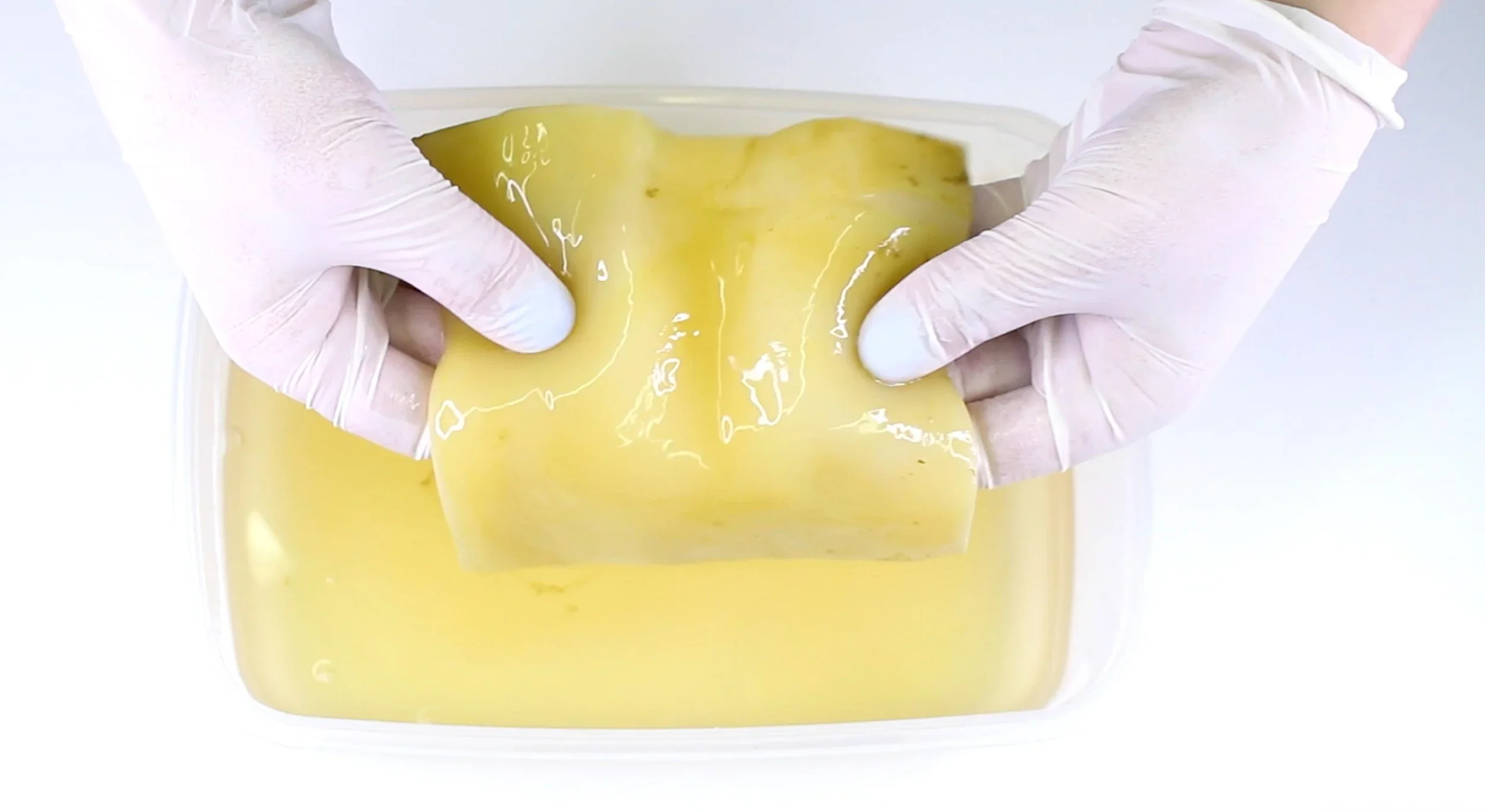 Bacterial Cellulose - process VIDEO