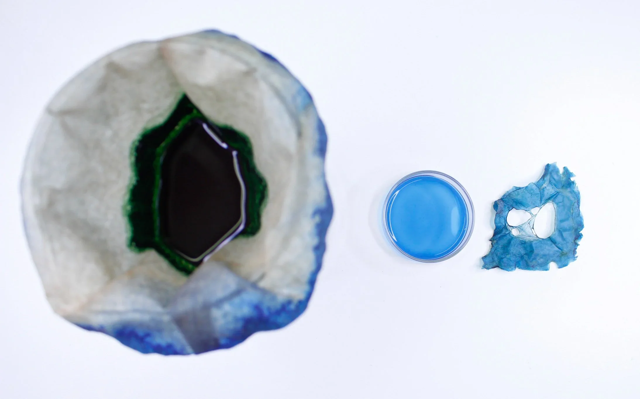 Bacterial Cellulose and Colour - PROCESS VIDEOS