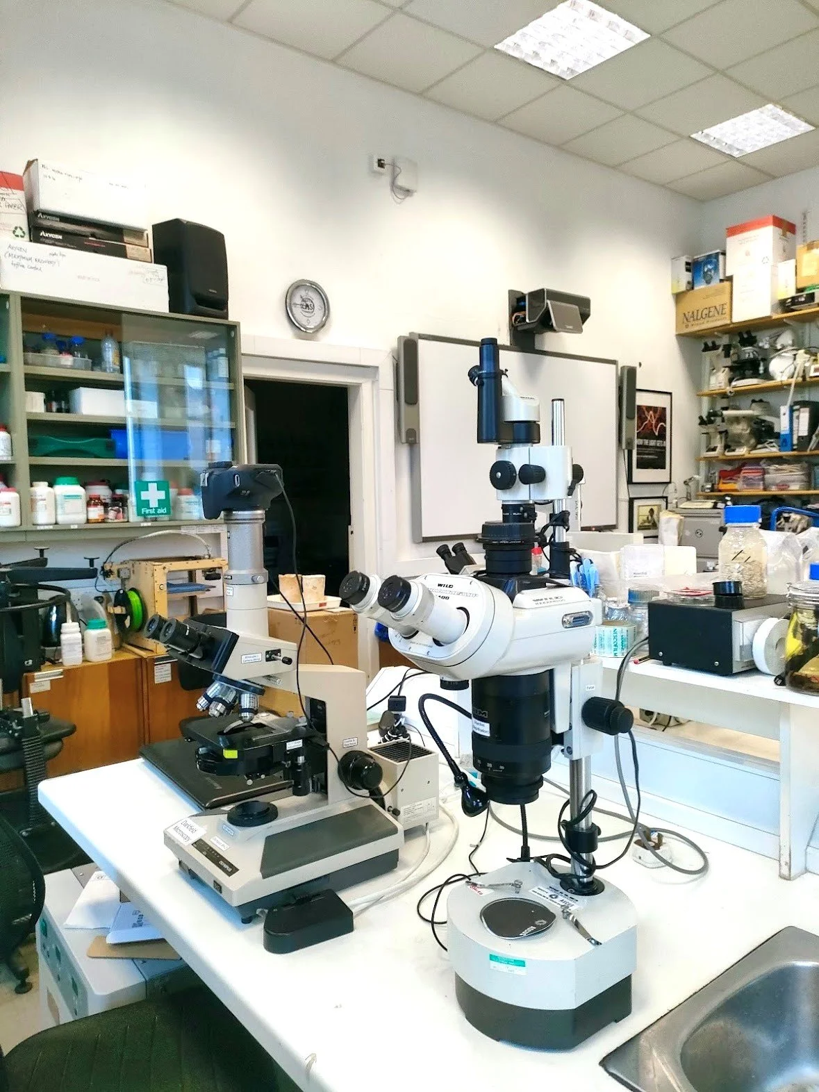 lab.jpg
