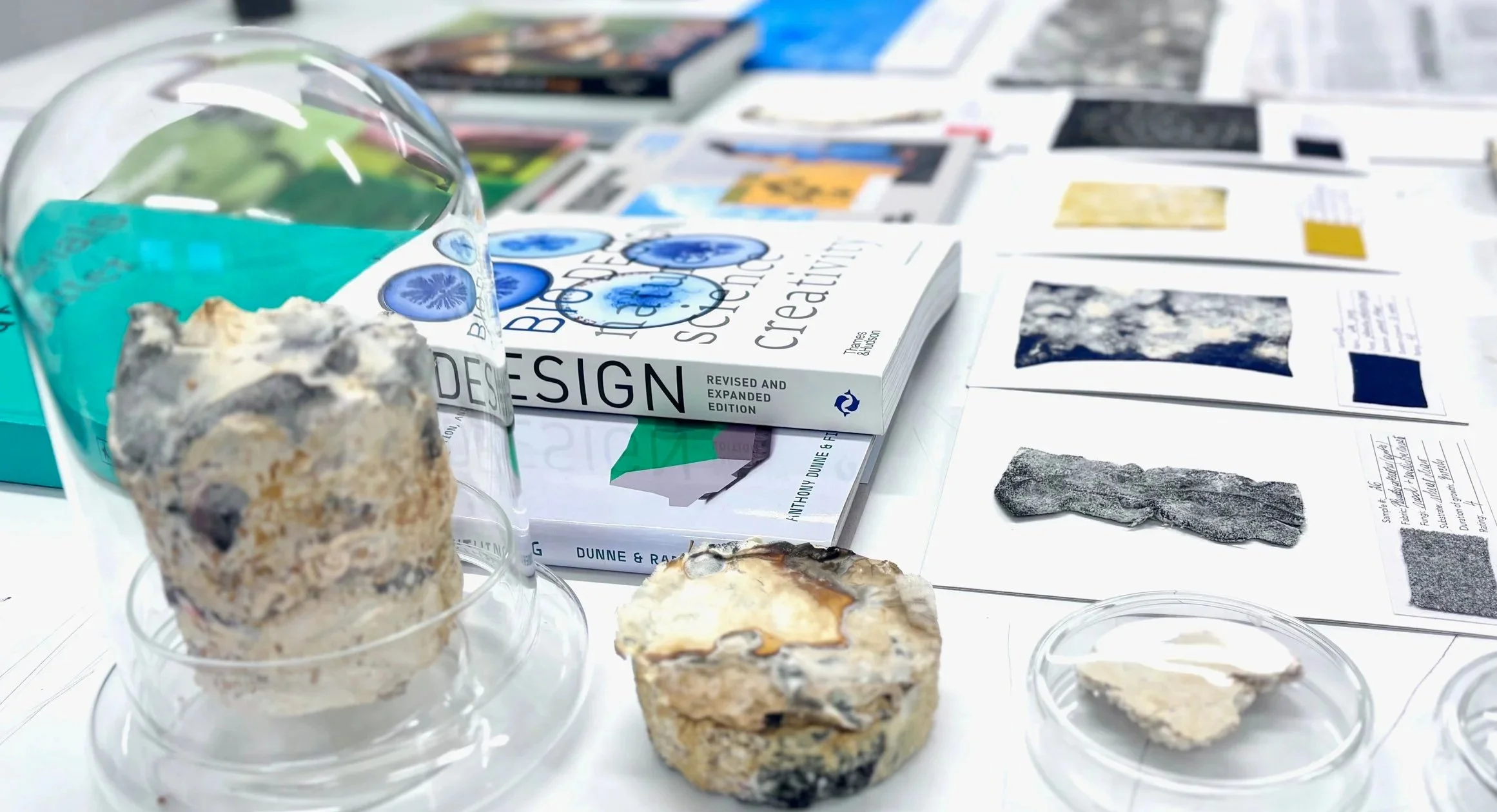 Display of rocks and minerals on a table, with books and papers about geology.
