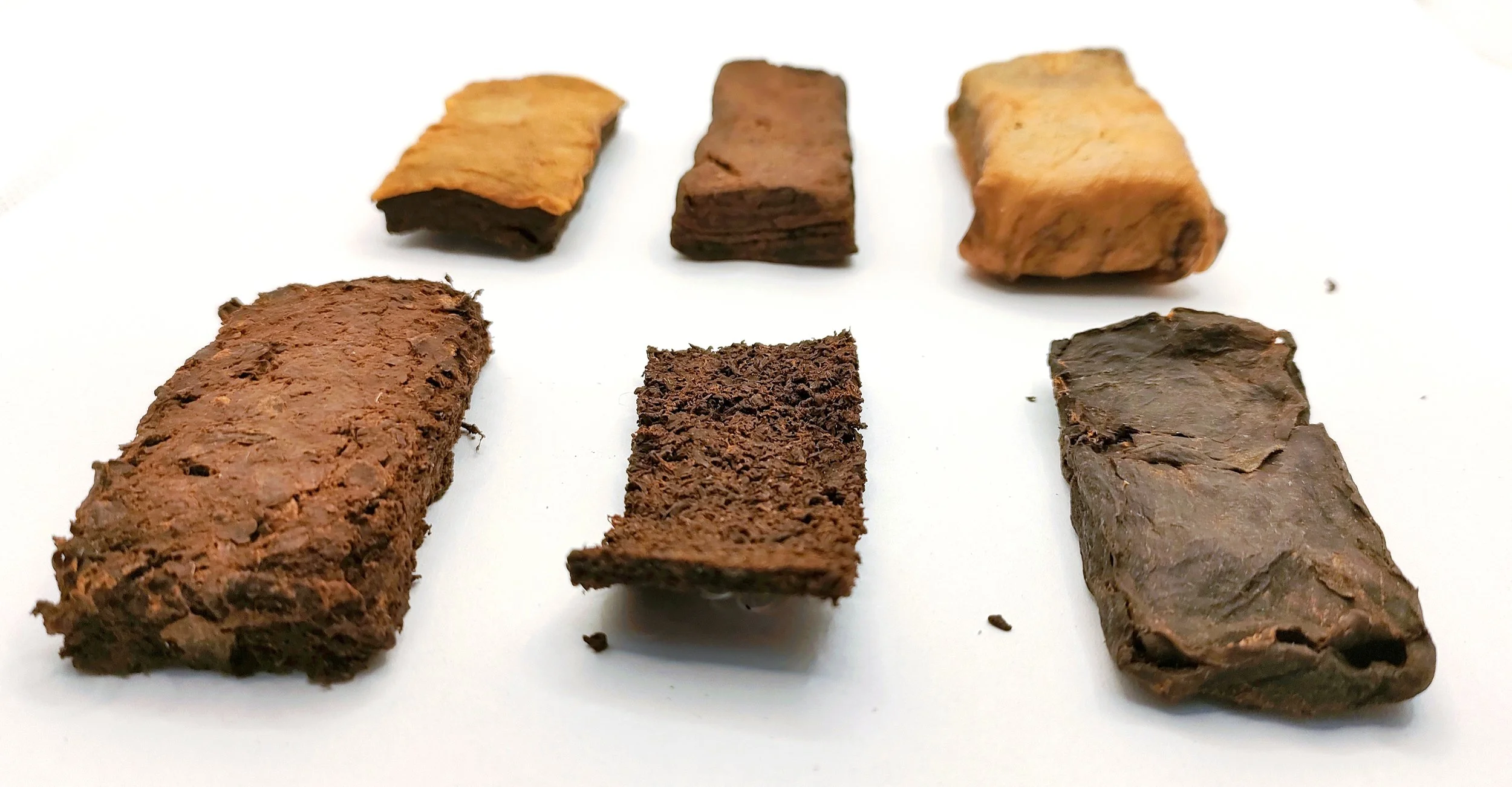 IMG_20230803_163754 copy.jpg