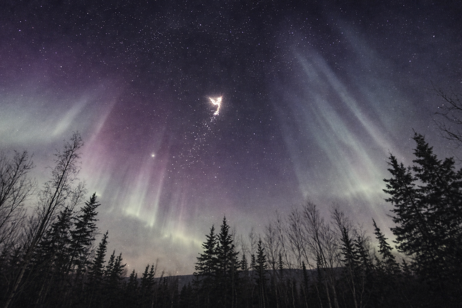 Night sky with stars and northern lights (aurora borealis) over silhouetted trees and mountains.