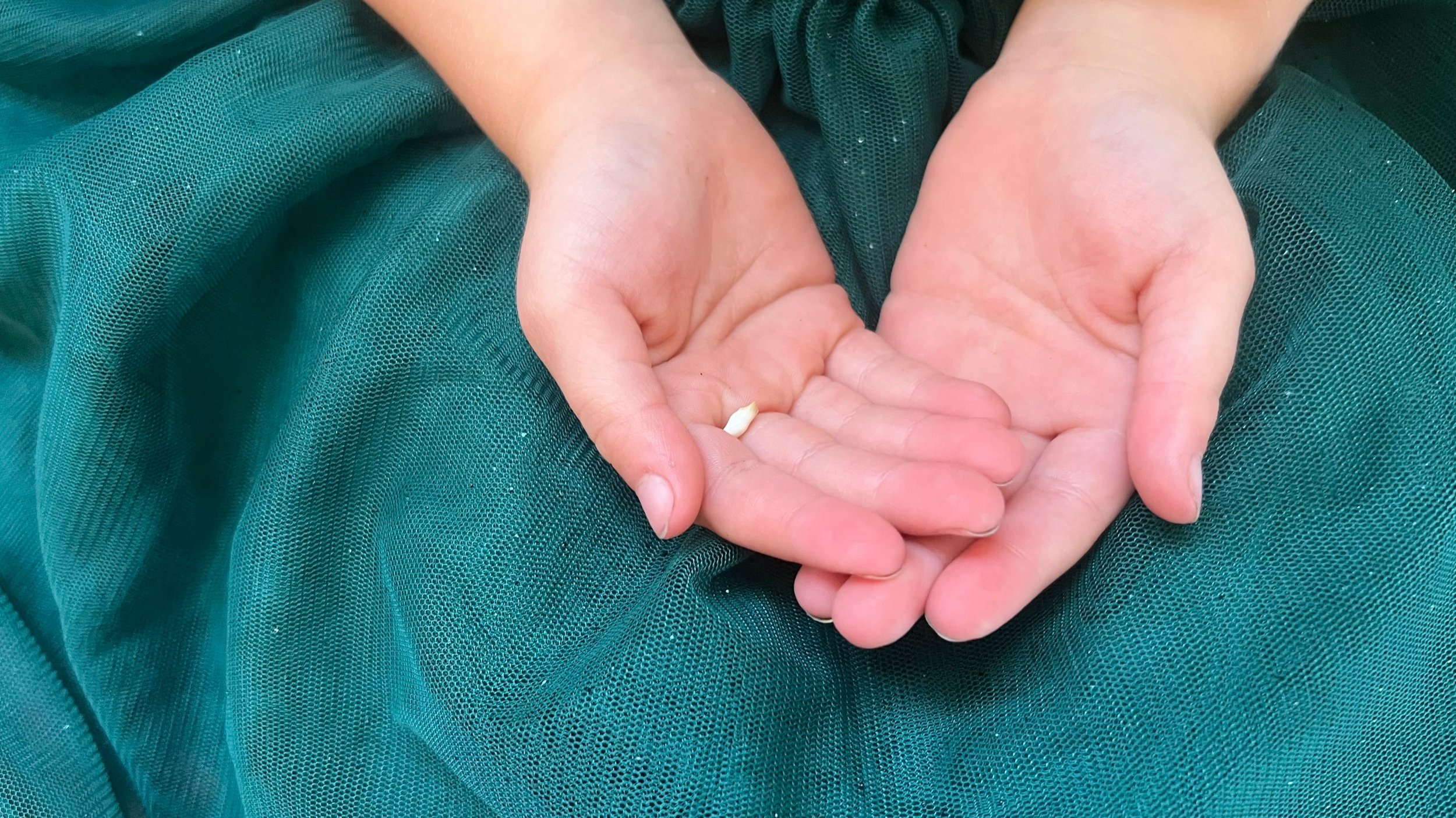 Child holding a lost tooth in hand beside a “My Lost Tooth” pouch, ready for a Tooth Fairy visit