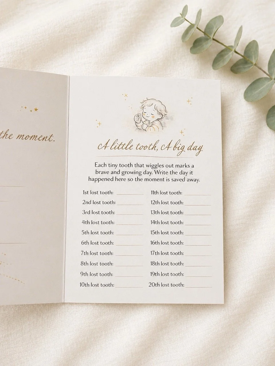 Inside booklet page Large.jpeg