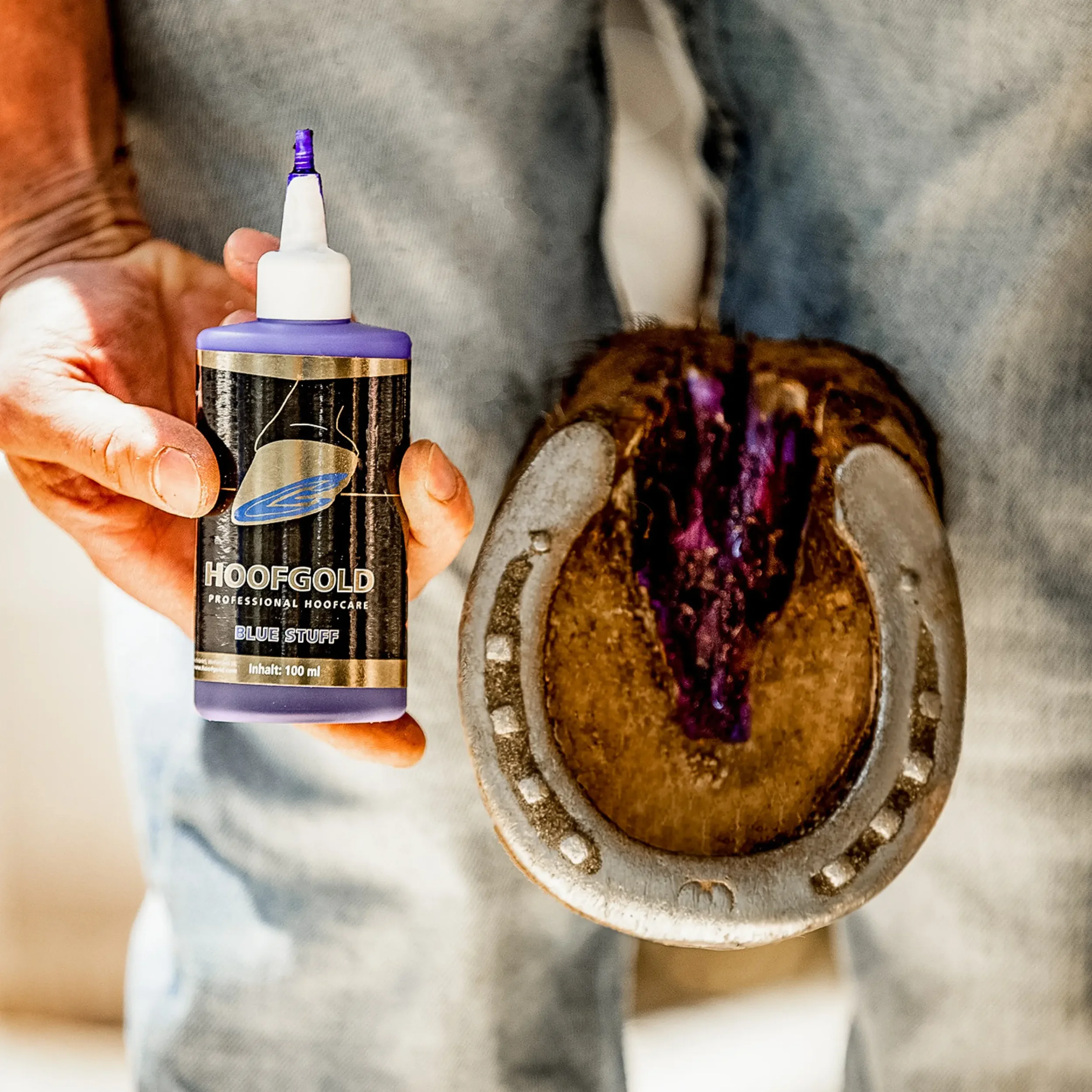 bluestuff-behandelt-strahlfaeule-strahlkrebs-white-line-disease-faeulnisbefall-hoofgold.webp