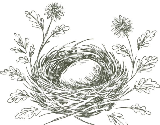 A bird's nest with two flowers and leaves surrounding it, drawn in a sketch style.