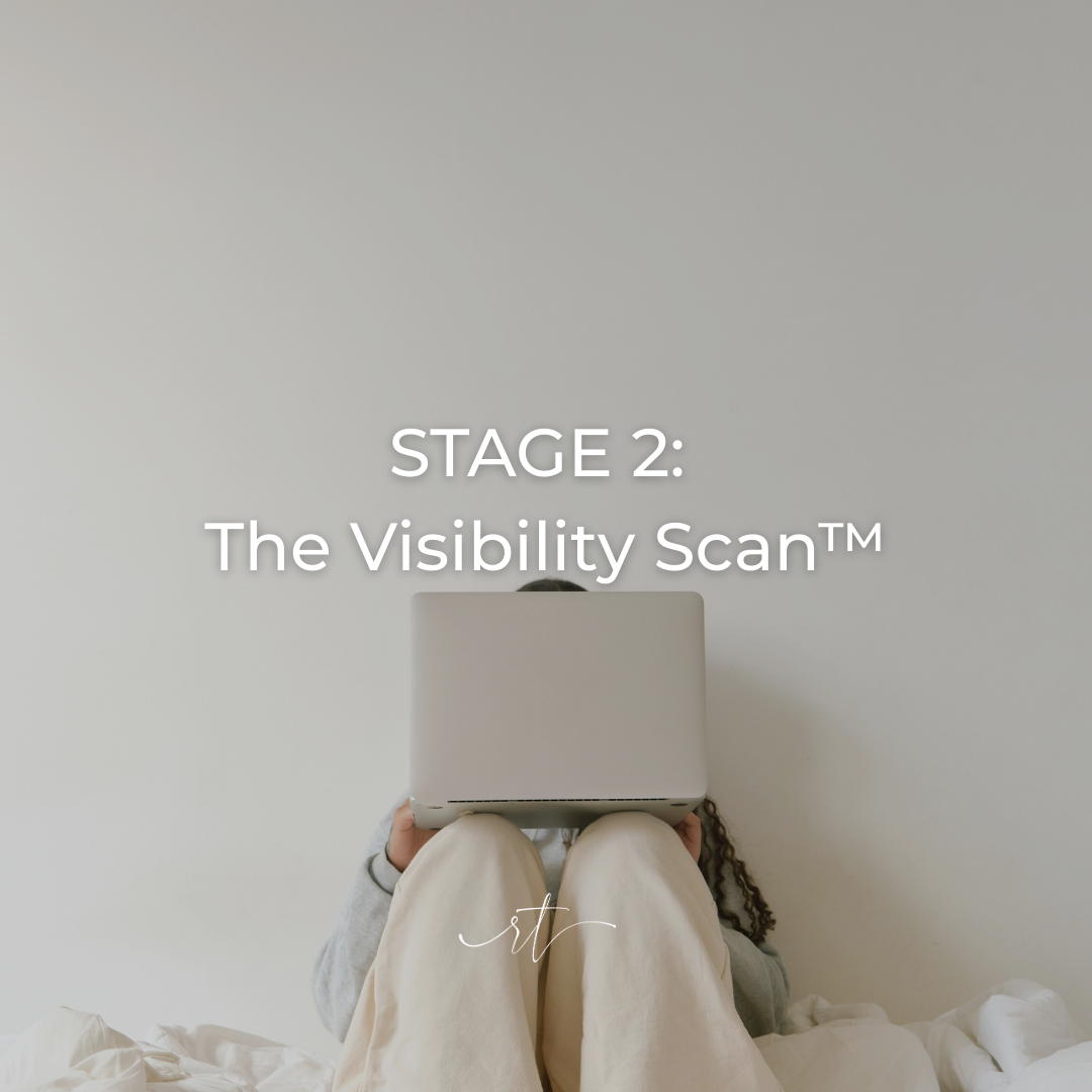 Cover  The Visibility Scan™.png
