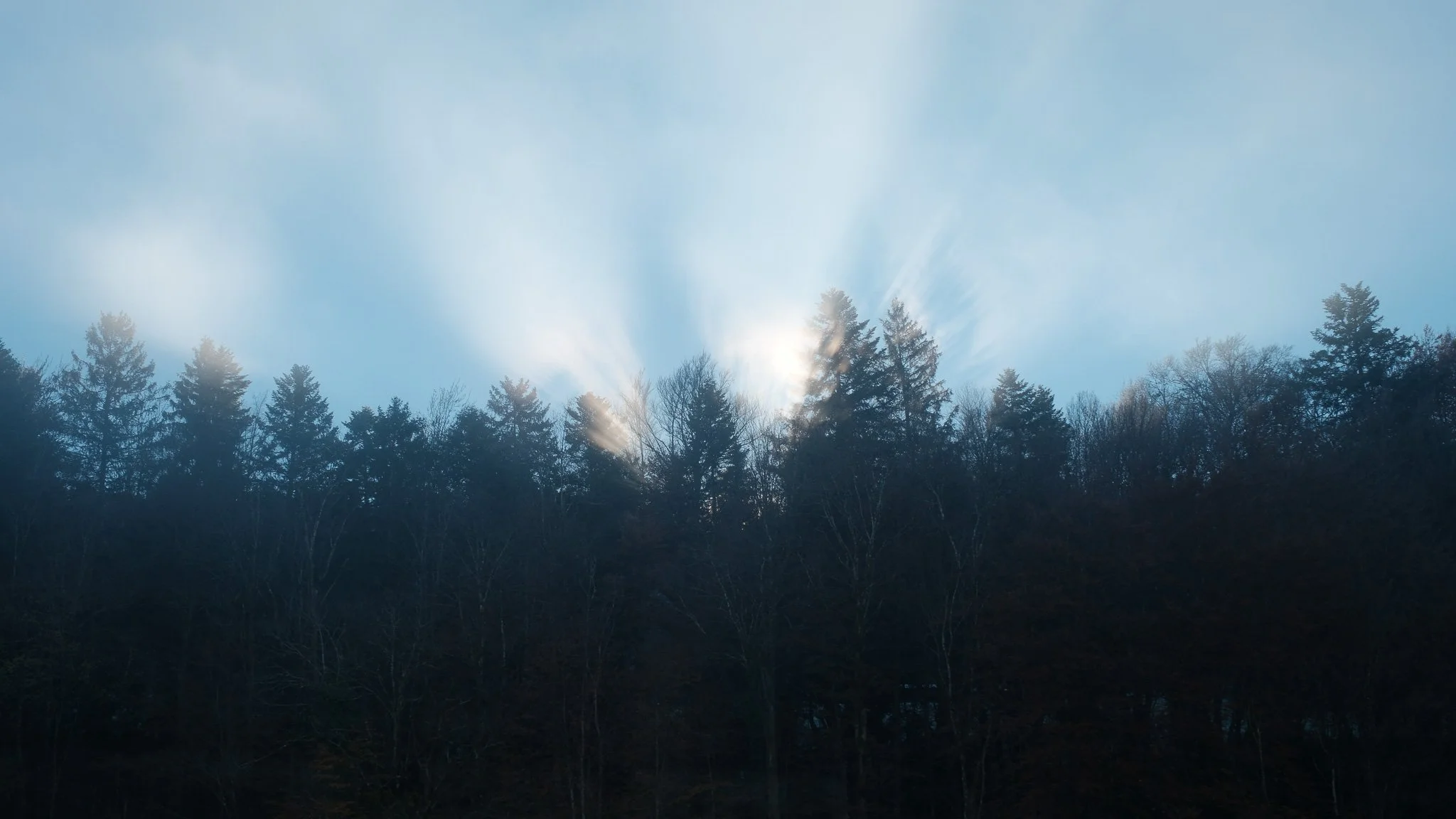 Sunlight is shining through the tops of leafless trees in a forest, creating rays of light in a partly cloudy sky.